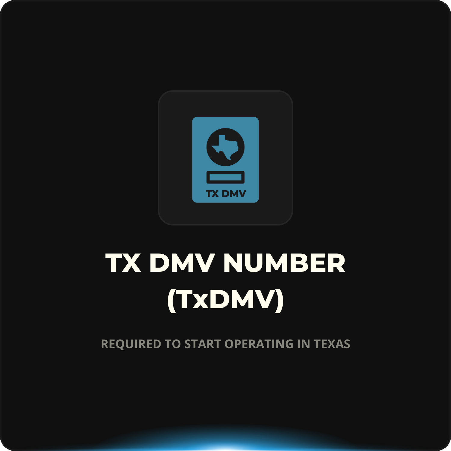 Texas DMV Number (TxDMV #)