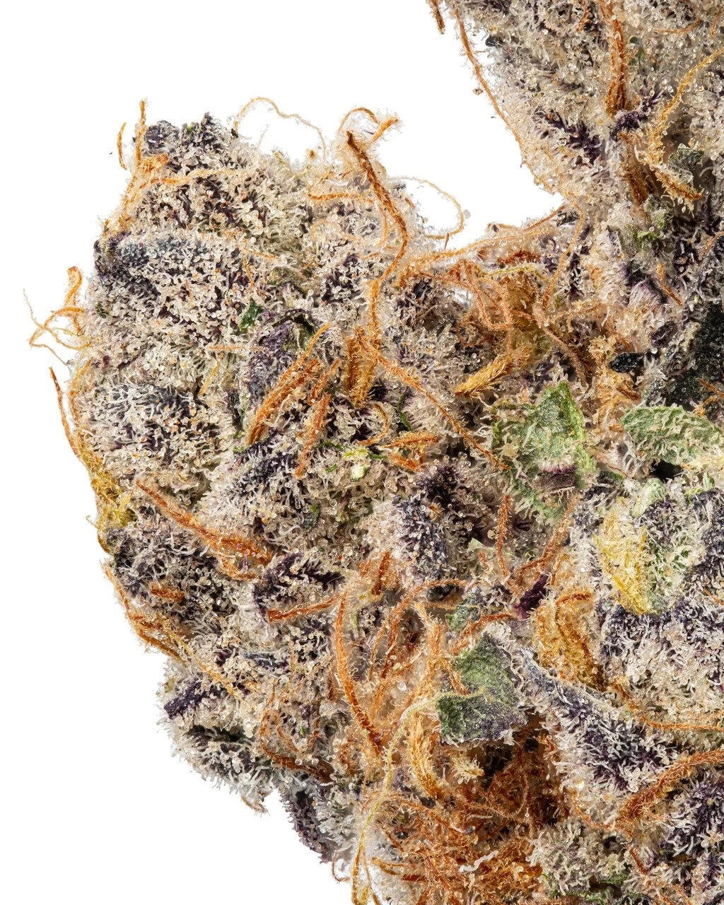 bluedream2.jpg