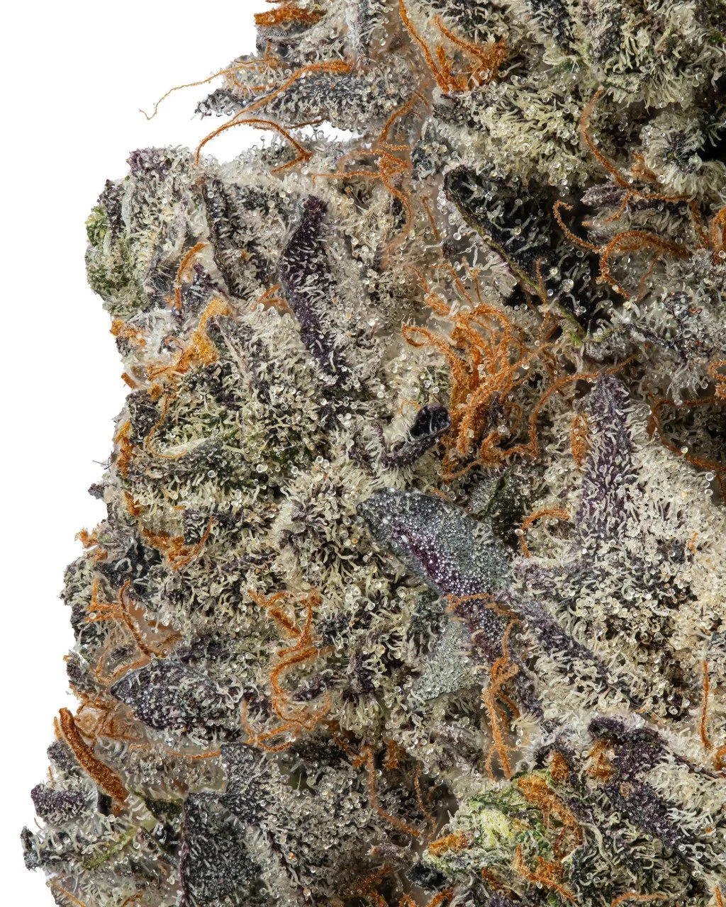 kushcake2.jpg