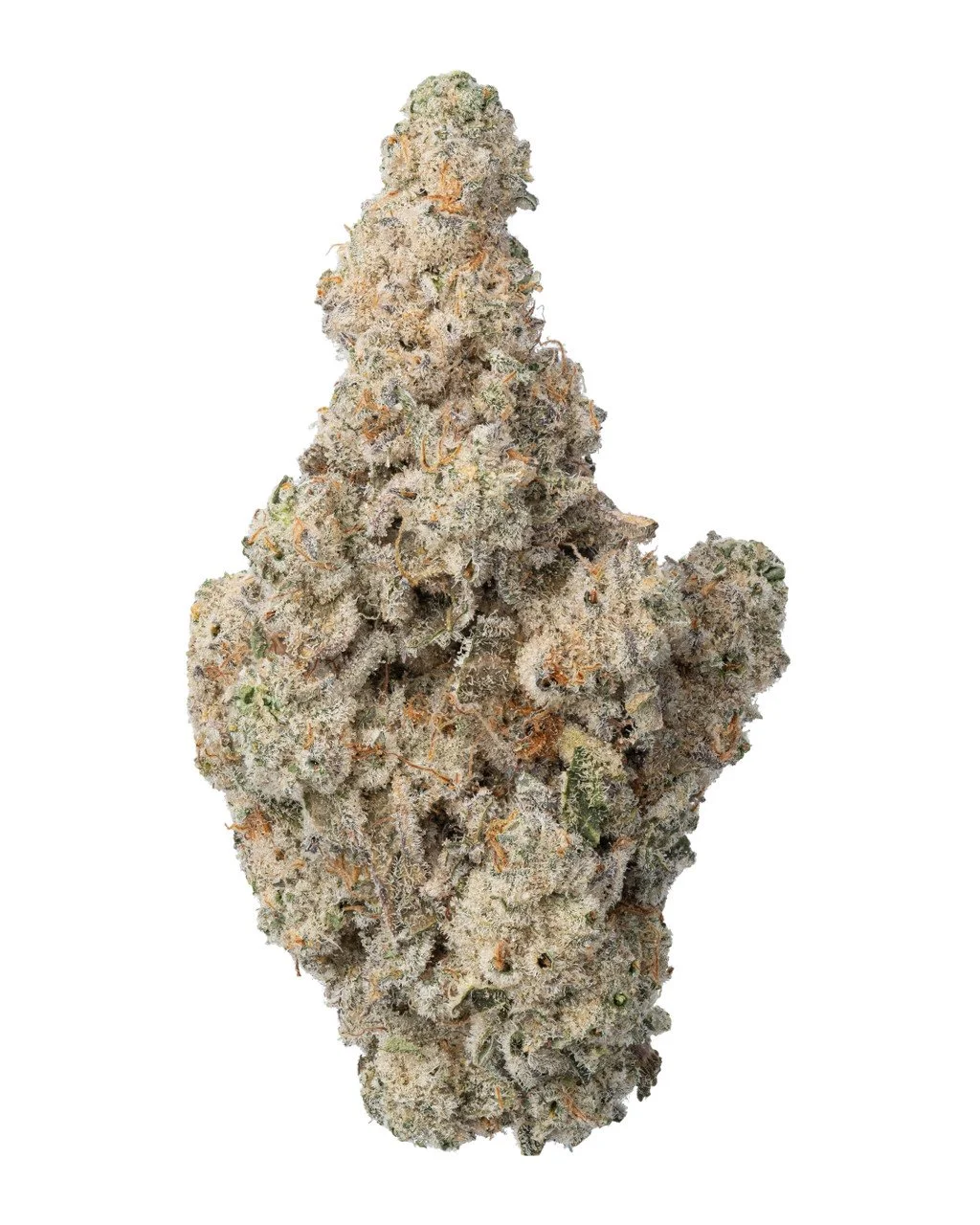 Close-up of a large cannabis bud with green, purple, and orange hues, covered in trichomes, isolated on white background.