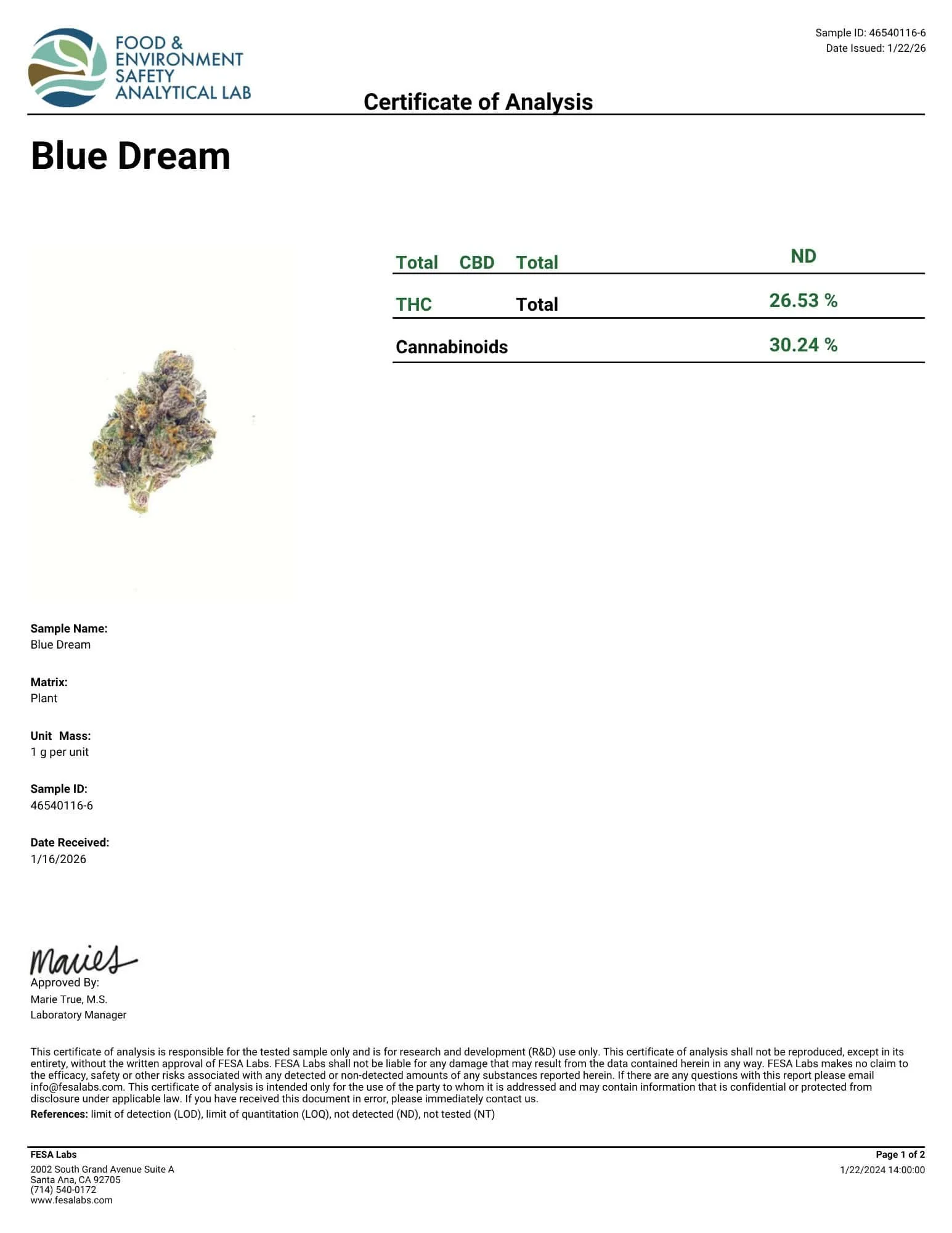 Blue Dream