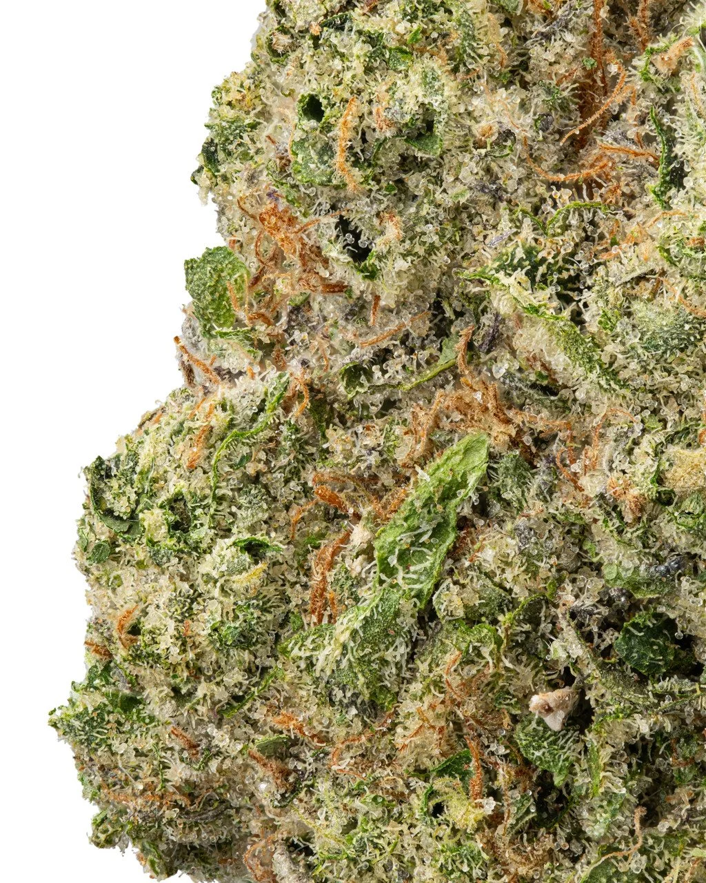 gg42.jpg