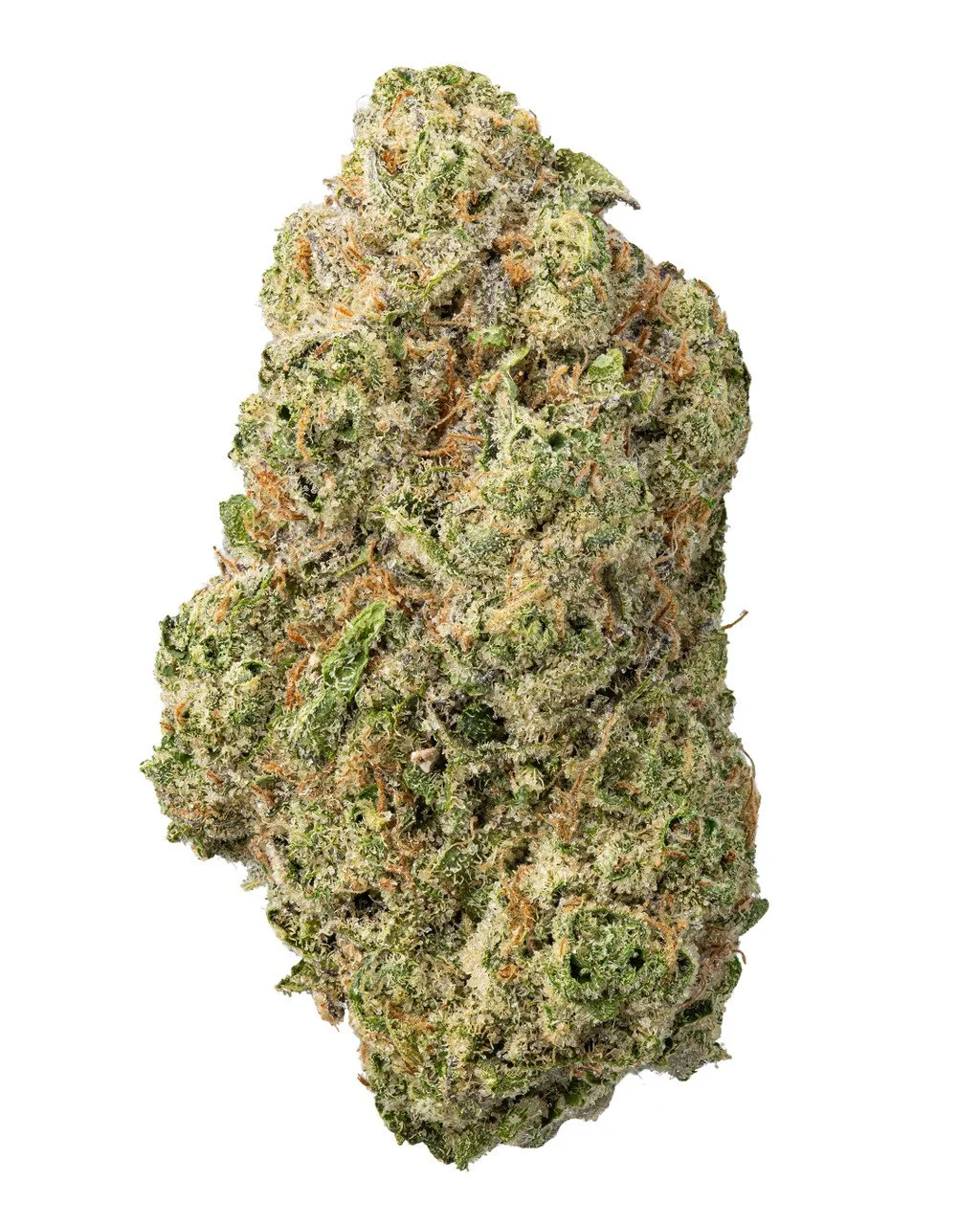 GG#4