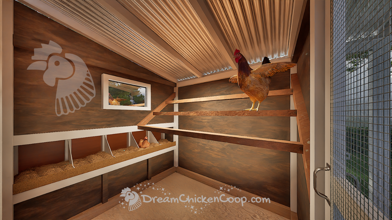 CoopNova - 6x8 COOP with 8x8 RUN good for 15-22 chickens - Dream Chicken Coop