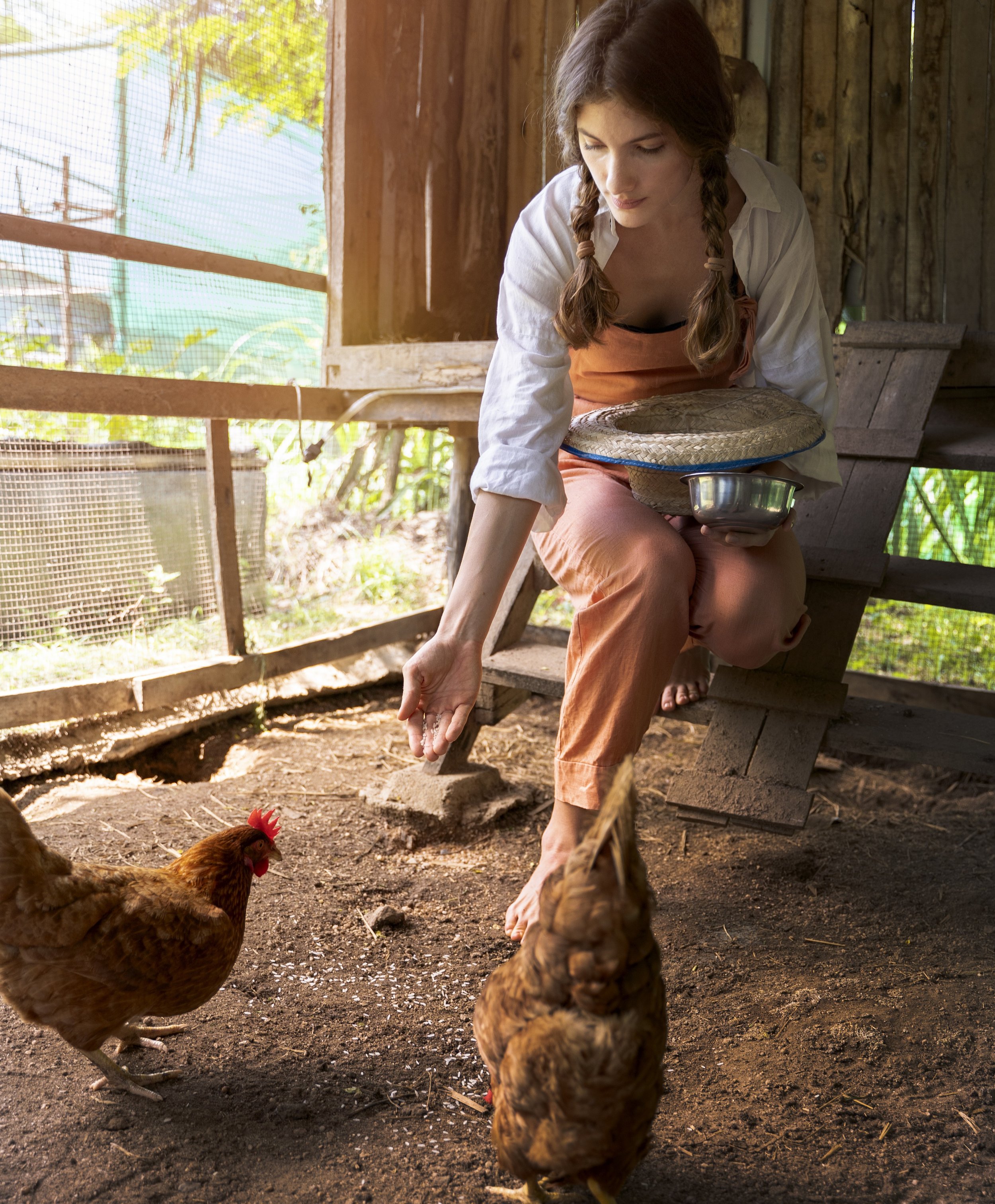 new chicken owners feeding chickens