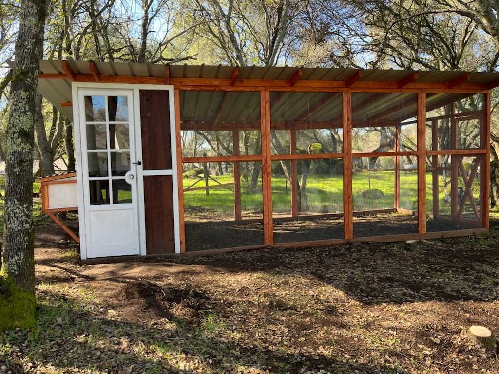 Courtney - 8x4 COOP with 8x12 RUN