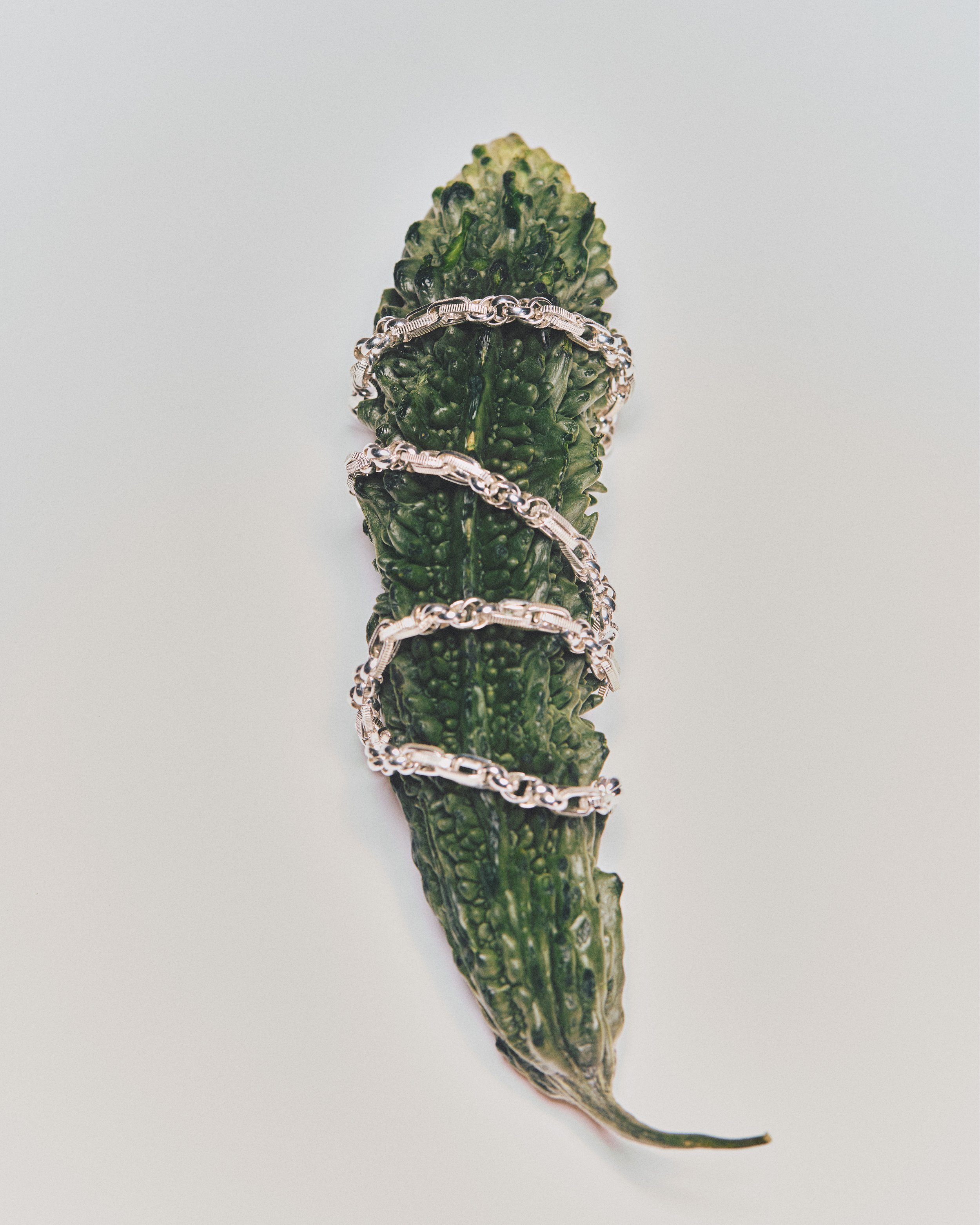 Close-up of a silver chain wrapped around a green vegetable on a light background.