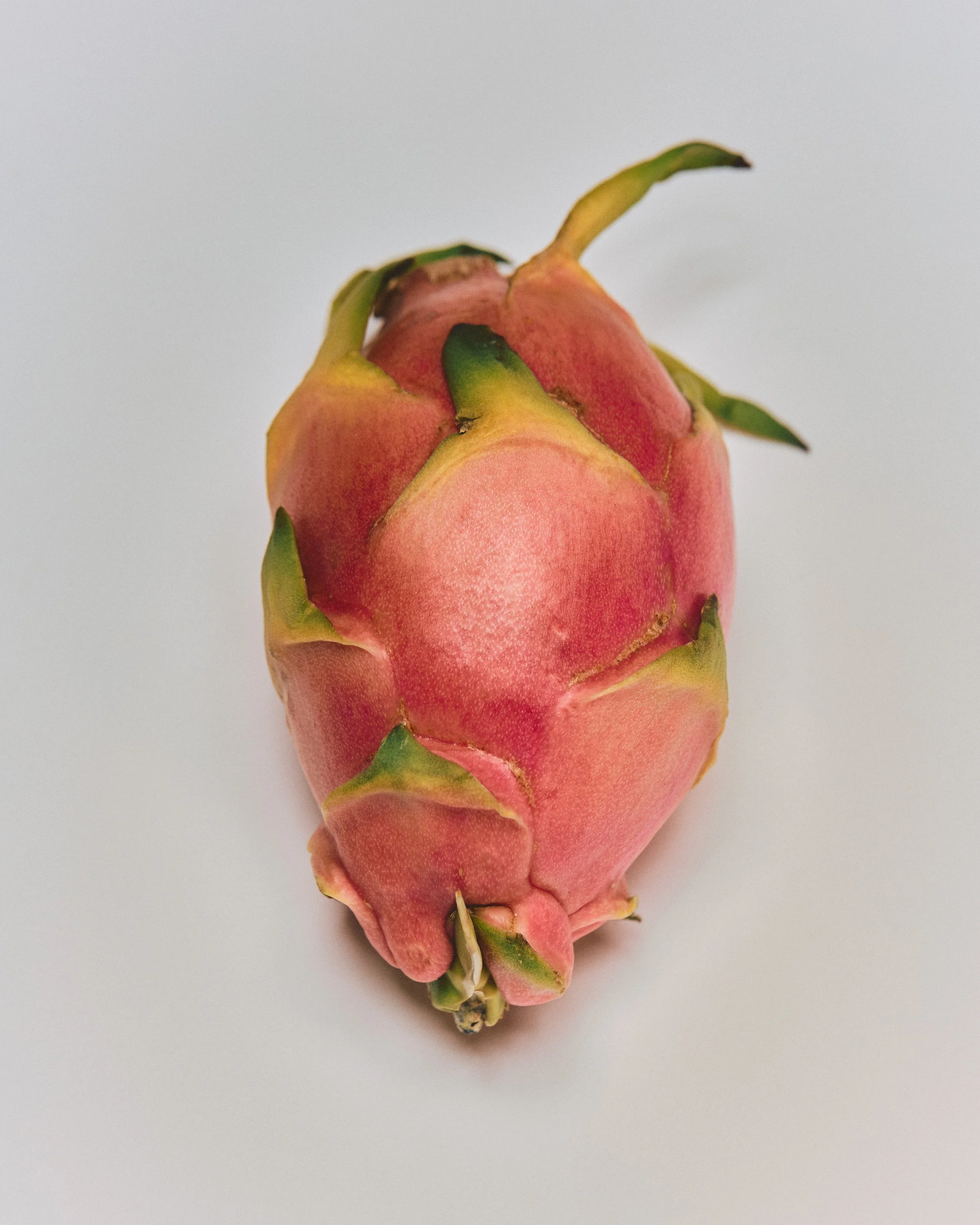 Close-up of a dragon fruit on a white background.