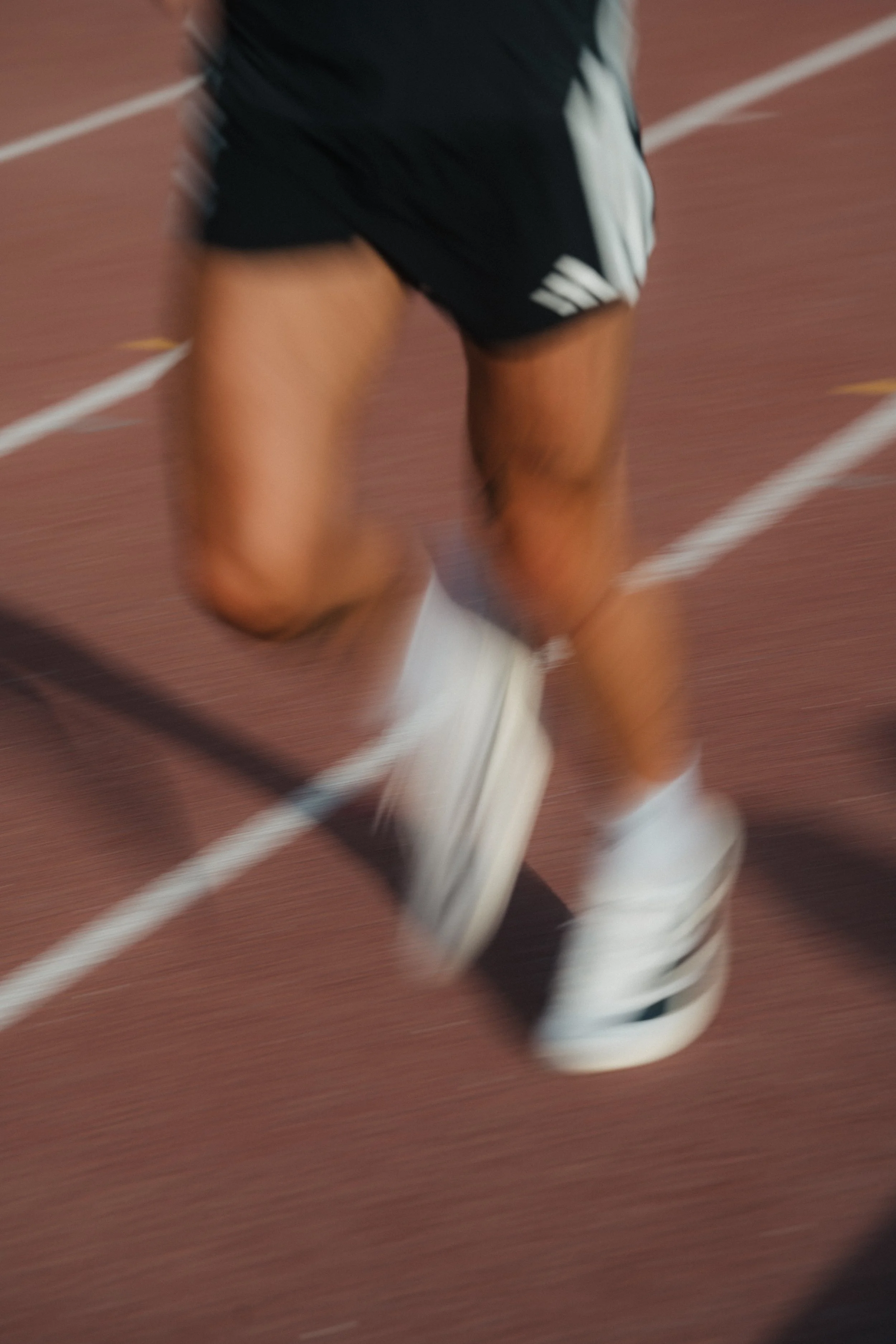 AR509626.jpg