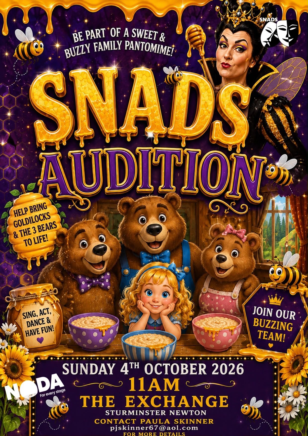 Panto Auditions 2027