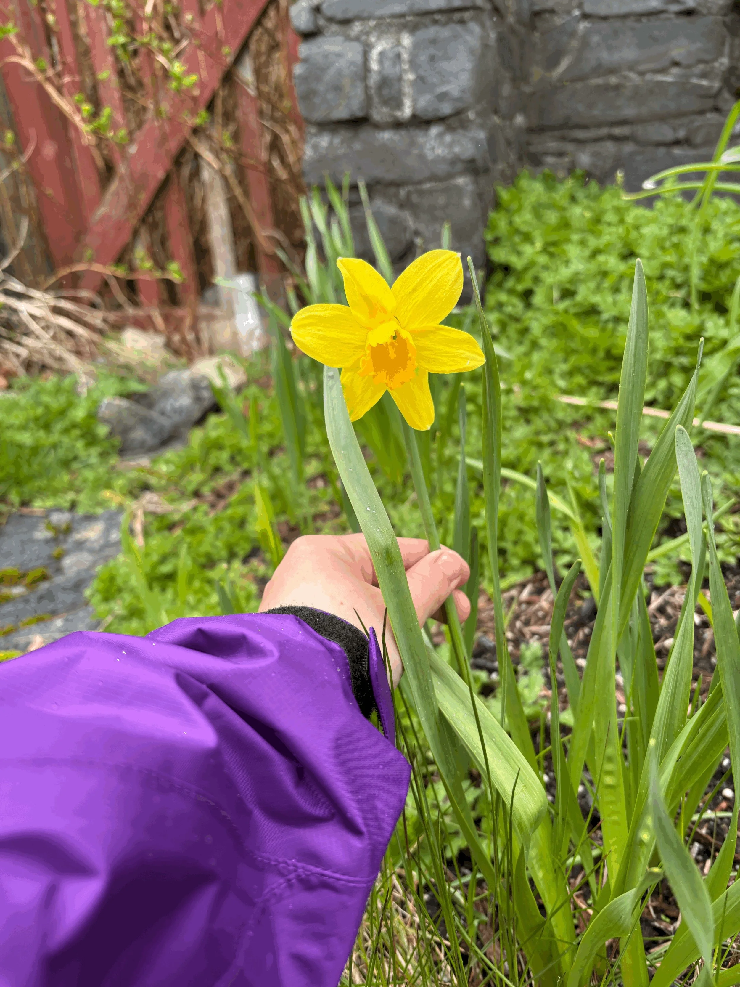Why I Named It Alana’s Emerald Lawn Care (Mosquitoes NOT Included!)
