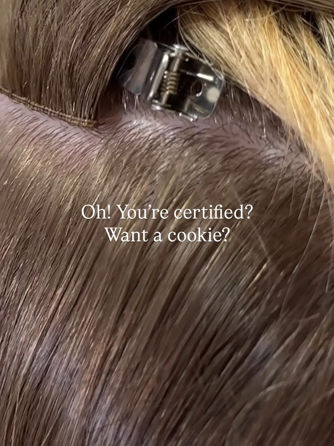 You know what costs $2,000 &amp; means absolutely nothing?
A certificate without correction.

You want a cookie? Or you want to be taken seriously?

You&rsquo;ve got the certificates.
You&rsquo;ve got the lanyards.
You&rsquo;ve even got the branded m