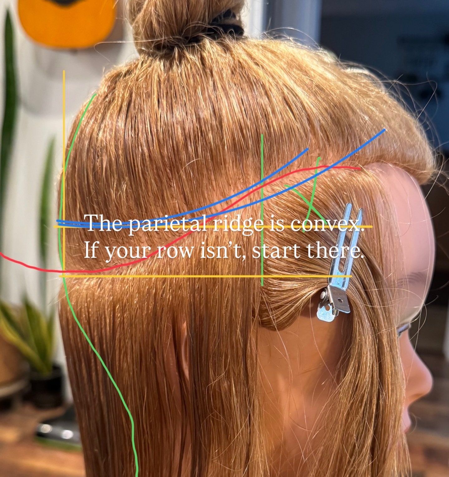 Do your rows do this??

Force doesn&rsquo;t distribute evenly when a row changes direction.

When a @thelunamethod row starts convex &amp; then dips concave above the ear, force stops traveling smoothly across the head &amp; starts collecting at the 