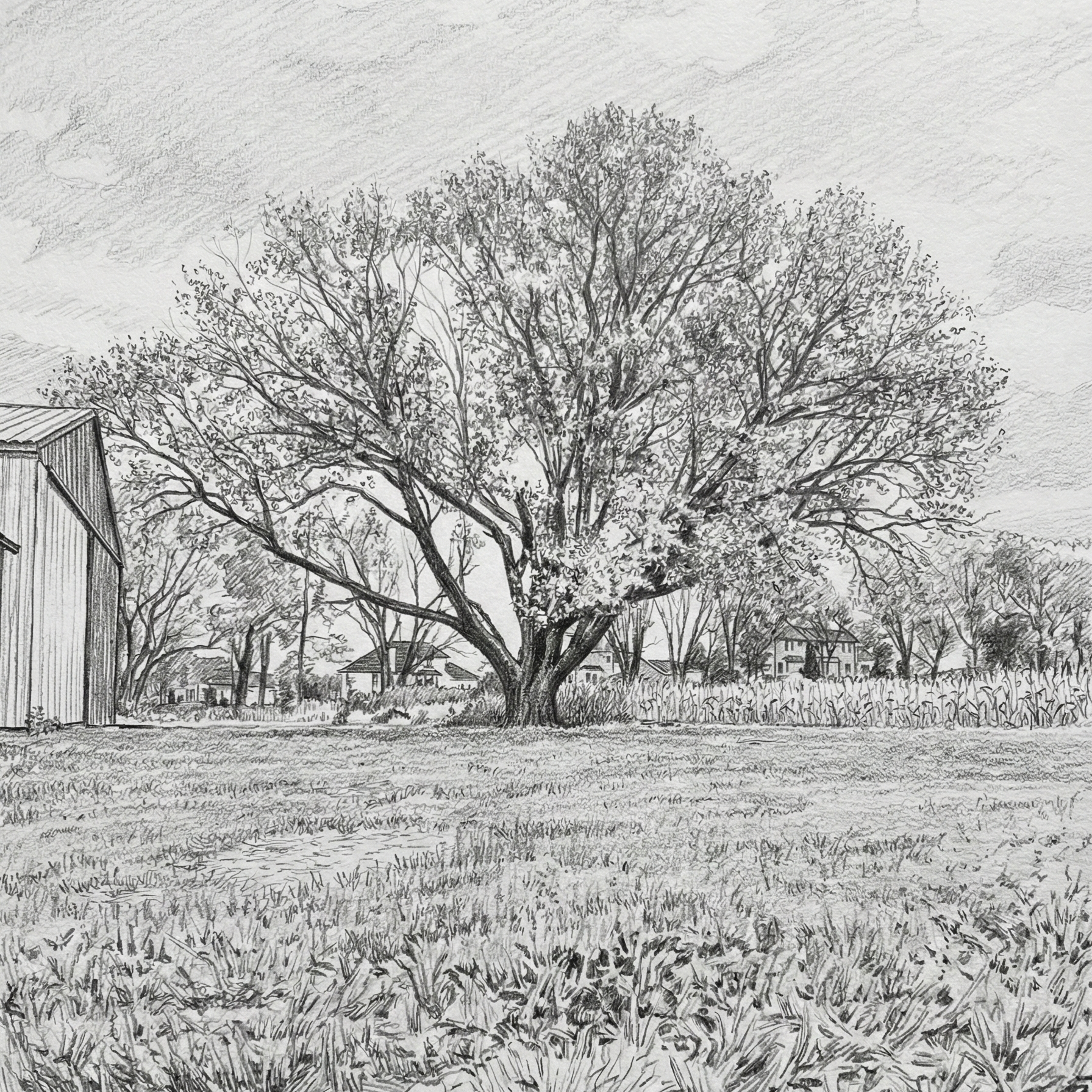 Rooted &amp; Ready: Welcome to Legend &amp; Legacy Co.