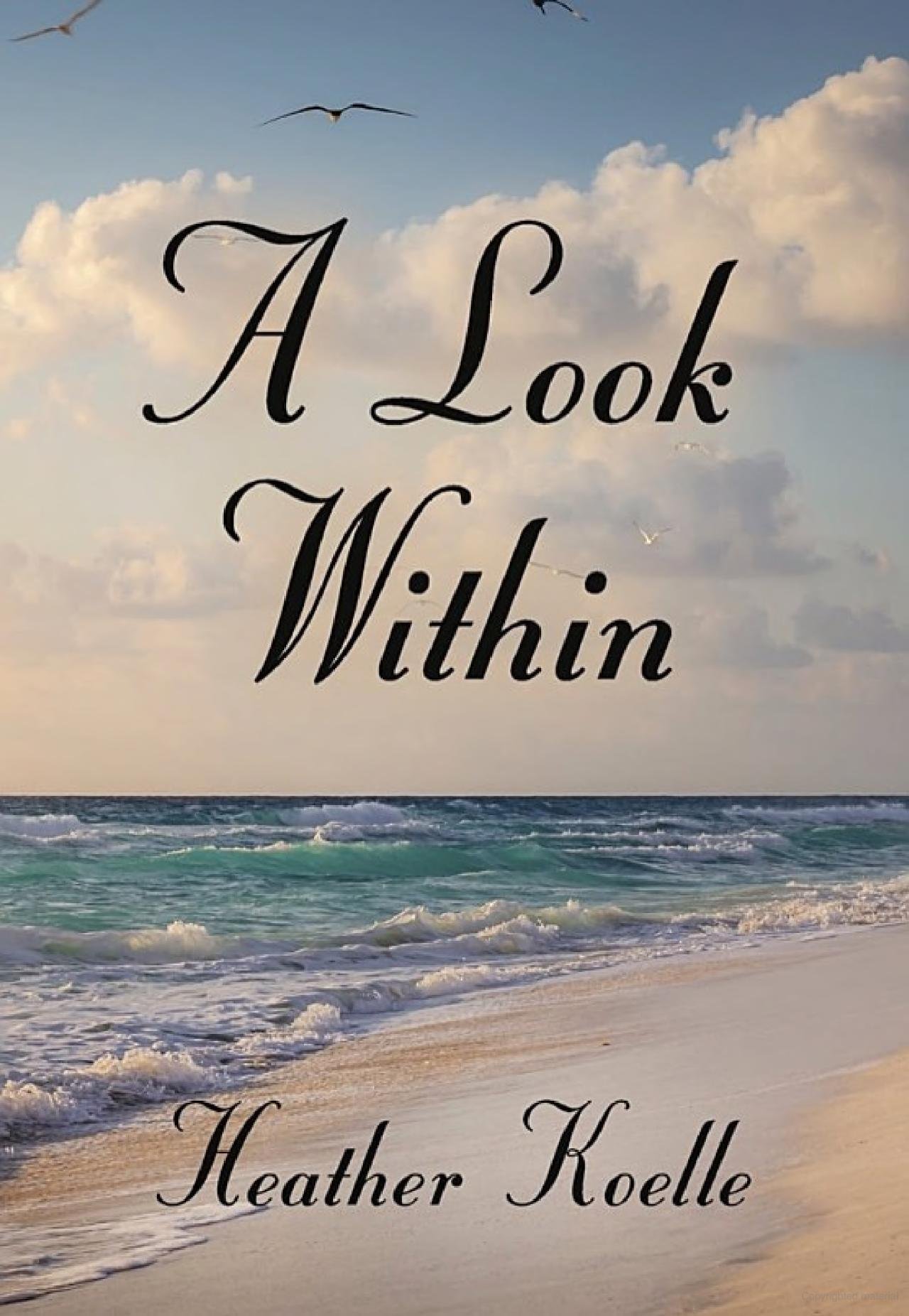 Beach with waves, clouds, and birds; text reads "A Look Within" and "Heather Koelle."