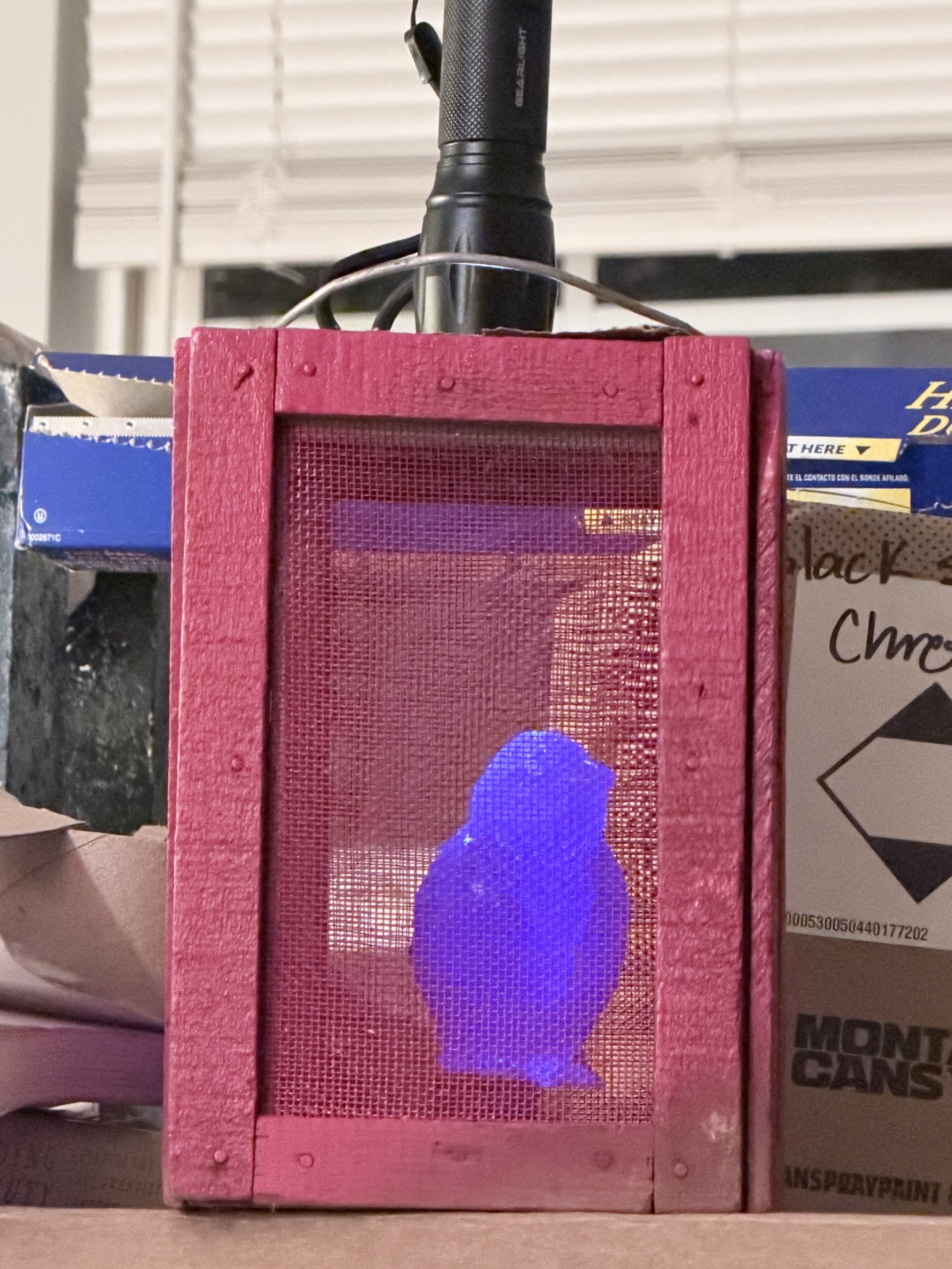 "The Voyeur", Found Objects, Spray Paint, Electronics, Custom Software, 6"x10"x6"