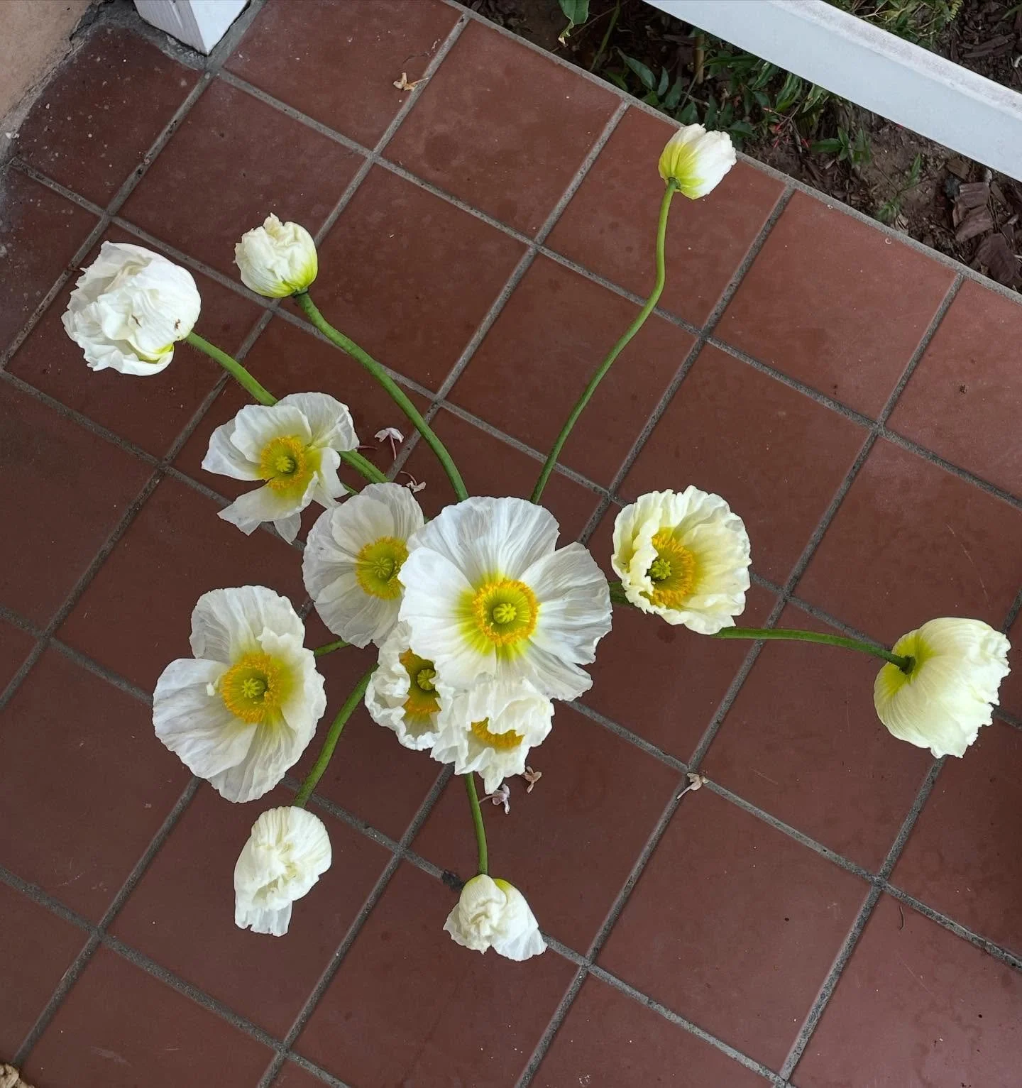 Spring has welcomed us again with open arms. A familiarity and trust like an old friend, a warm hug. This year Spring has also brought a sense of adventure and the symbolism of a graduation feels relevant. I&rsquo;ve been listening to old country mus