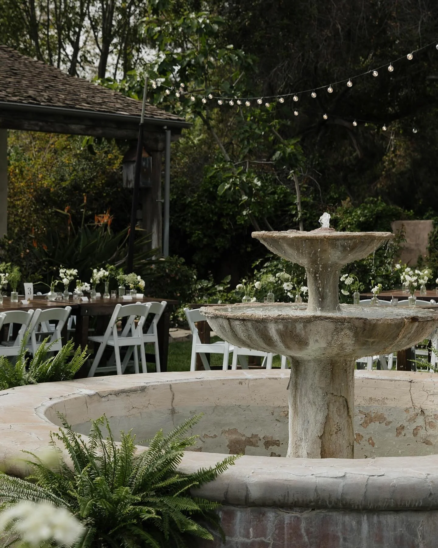 Reception &amp; personals for J &amp; T!