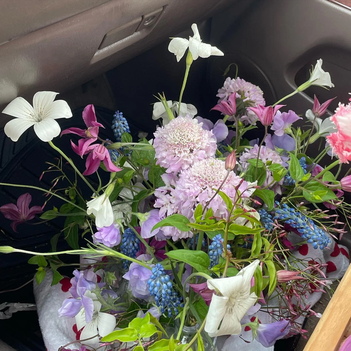 Lots of beauty from this past weekend, I still don&rsquo;t know how to take a good photo of flowers. We&rsquo;re getting excited for our first wedding of the Spring this weekend. Stay tuned! Xoxo 💓