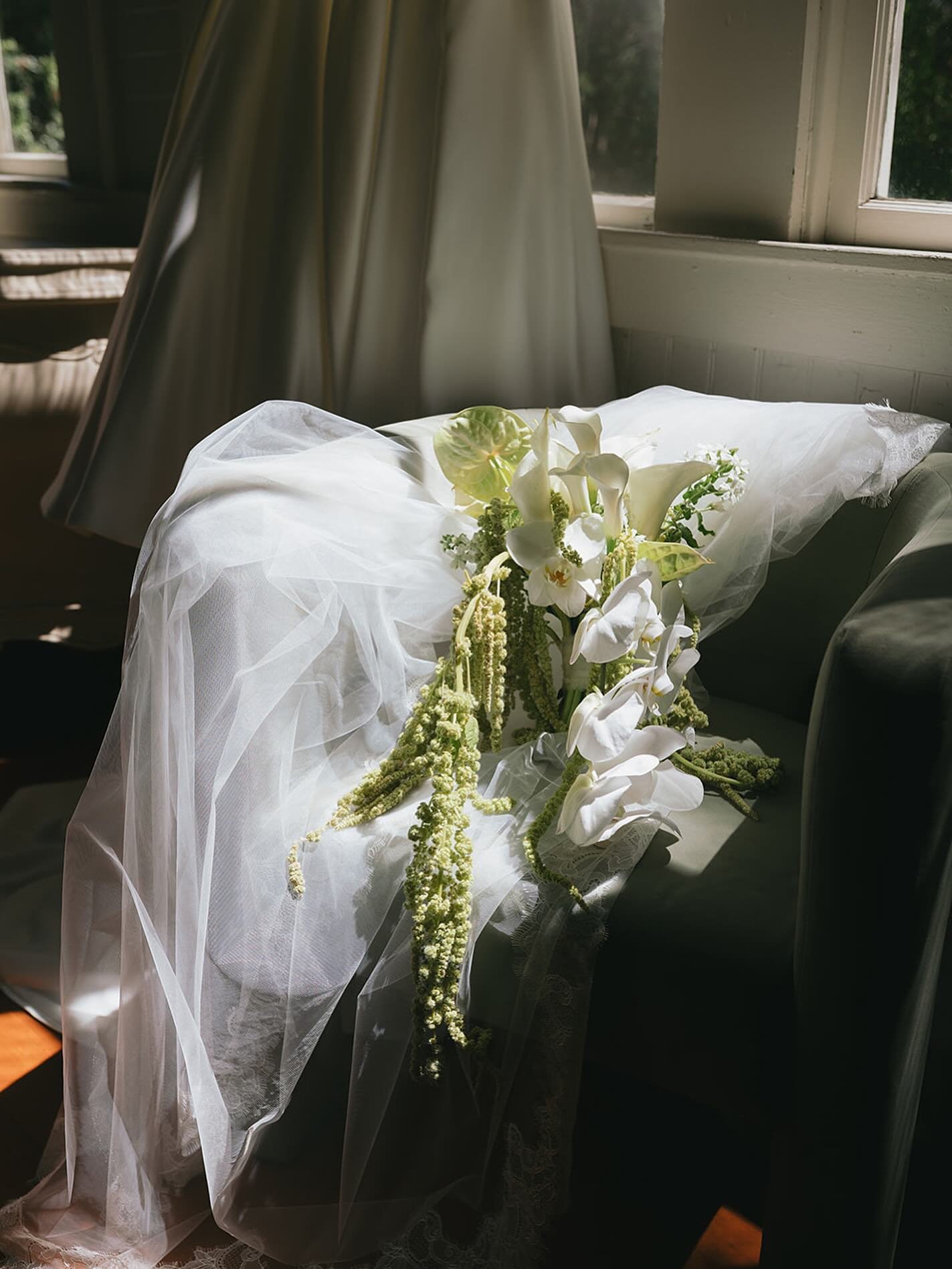 For Shania ❣️

@chaedphoto