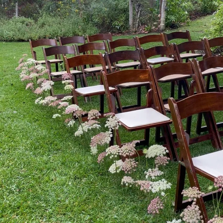 A meadow of Queen Anne&rsquo;s Lace&mdash; this day was magical!