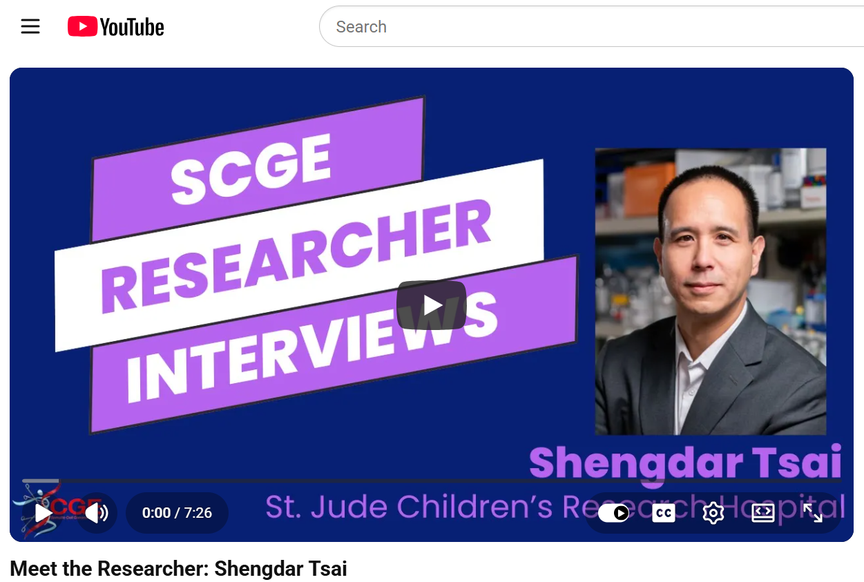 YouTube Sample Image 2.png