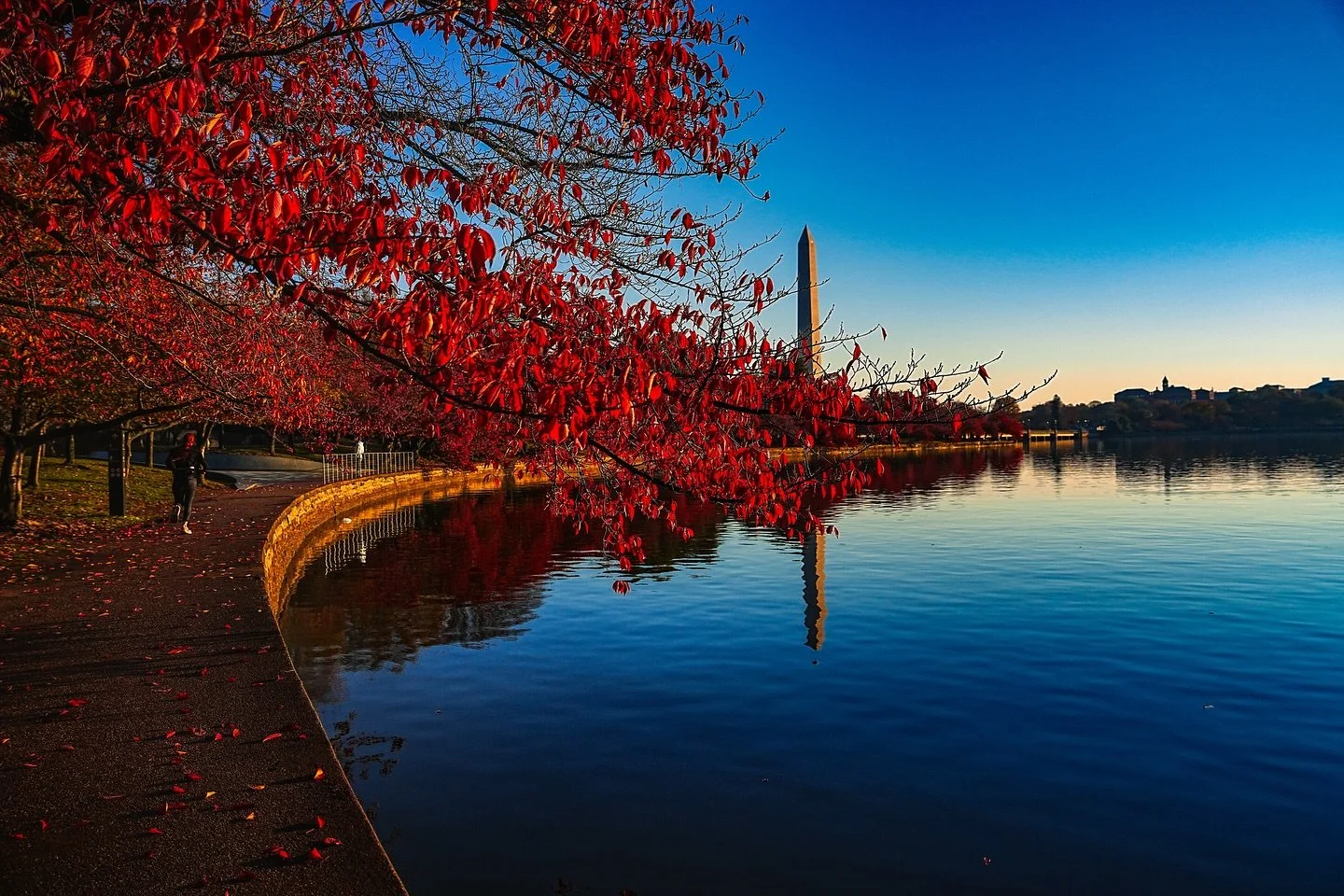 Autumn weekend mornings along the tidal basin are a perfect time to reflect...or just enjoy coffee and reflect (or enjoy the reflections) after a run 🍂

@sonyalpha 

Lens: 24-70 GM II 

#lumashots #am23photography #autumnvibes🍁 #autumncolors🍁 #aut