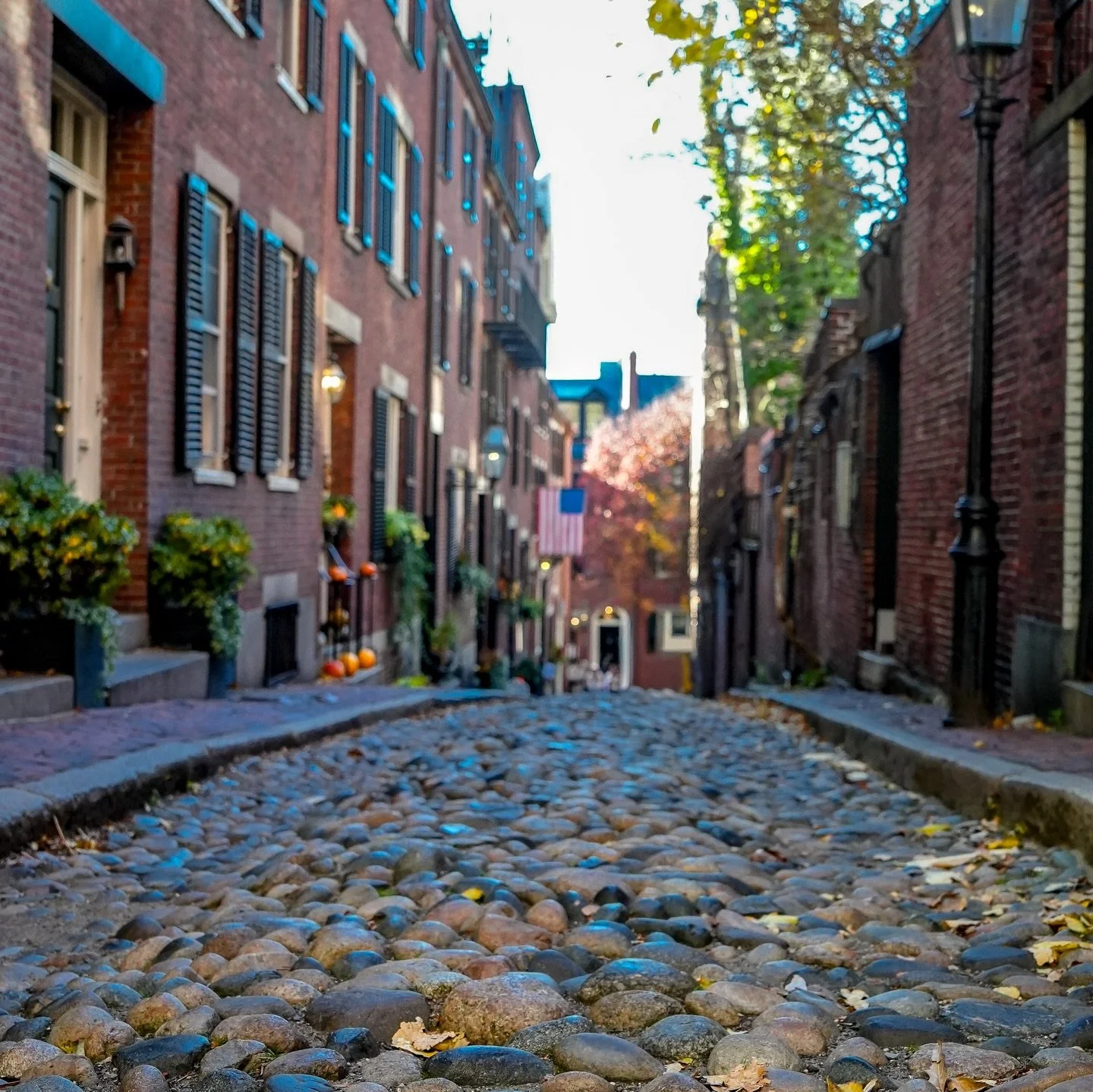 On a recent trip to #Boston, I decided I wanted to visit the iconic Acorn St. Loved the street view, though I could've done without the influencers 🙄😅

Lens: 24-70 GM II 

@sonyalpha @visitma 

#lumashoots #bosphotooftheday #BeaconHill #AcornSt #bo