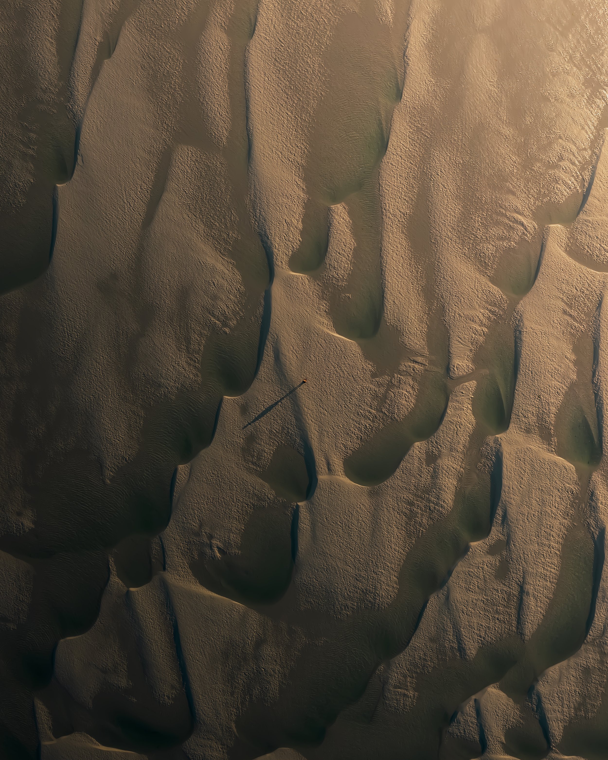 Ciarán O'Connor - The Dunes II.jpg