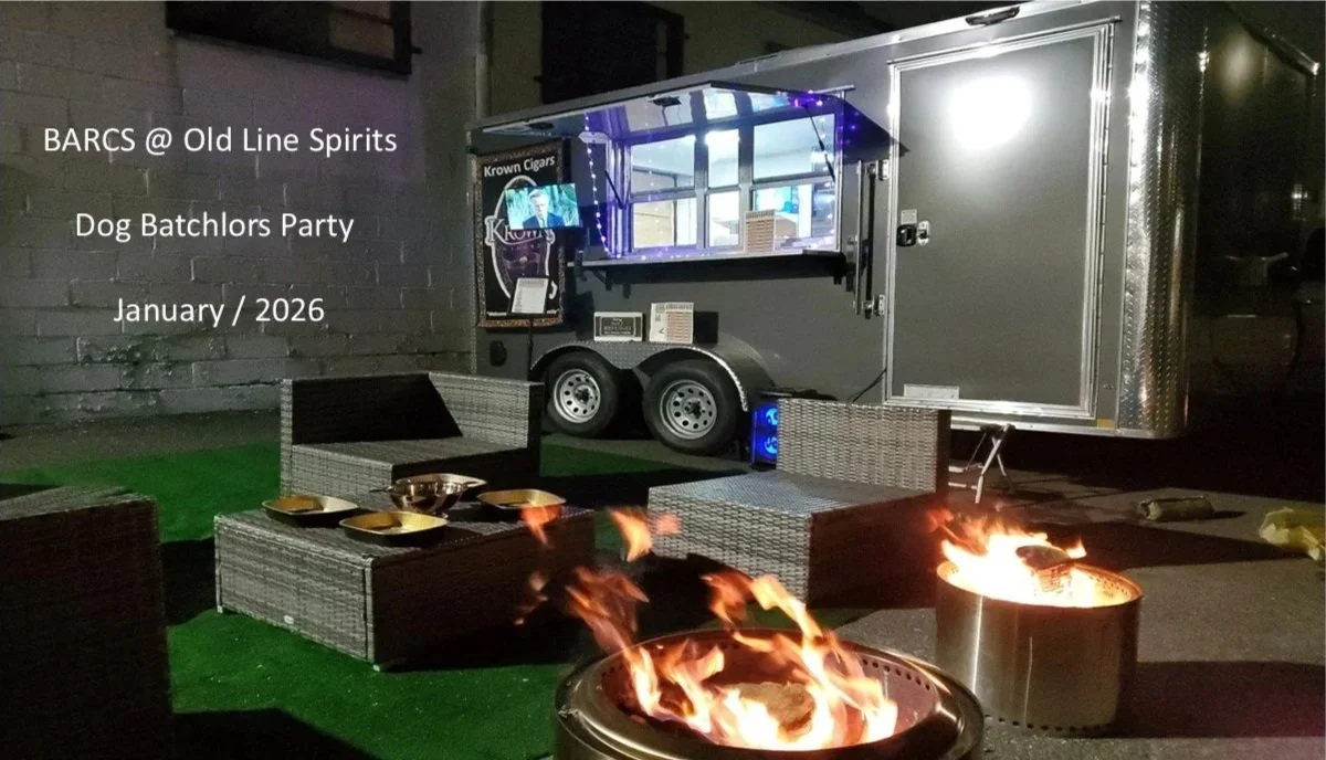 An outdoor scene at night showing a food truck parked on a street, with a small fire pit in the foreground. There are wicker chairs and a table with bowls on it, set up for a dog party event. The food truck is decorated with string lights and has a window for serving.