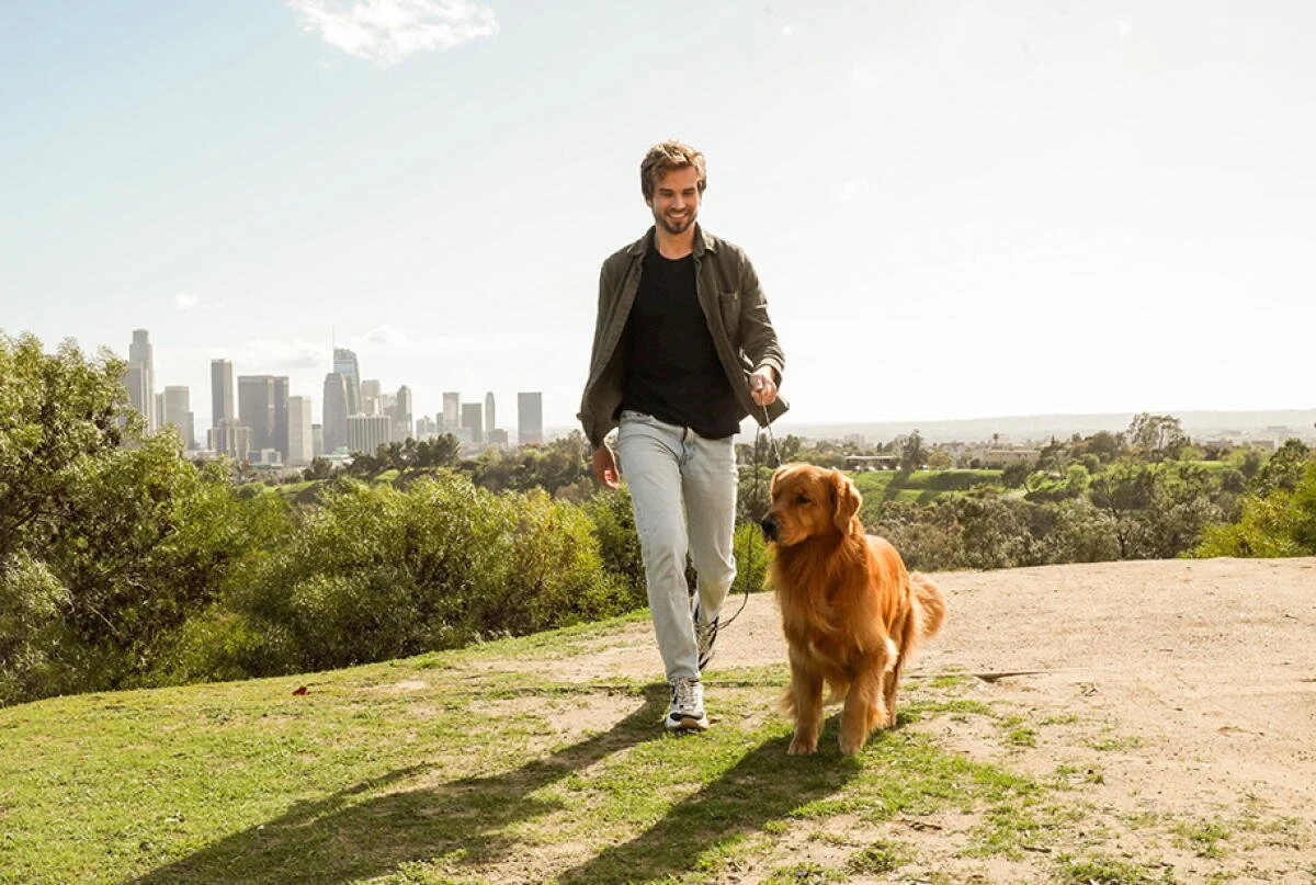 Adult walking a leashed dog in Los Angeles.