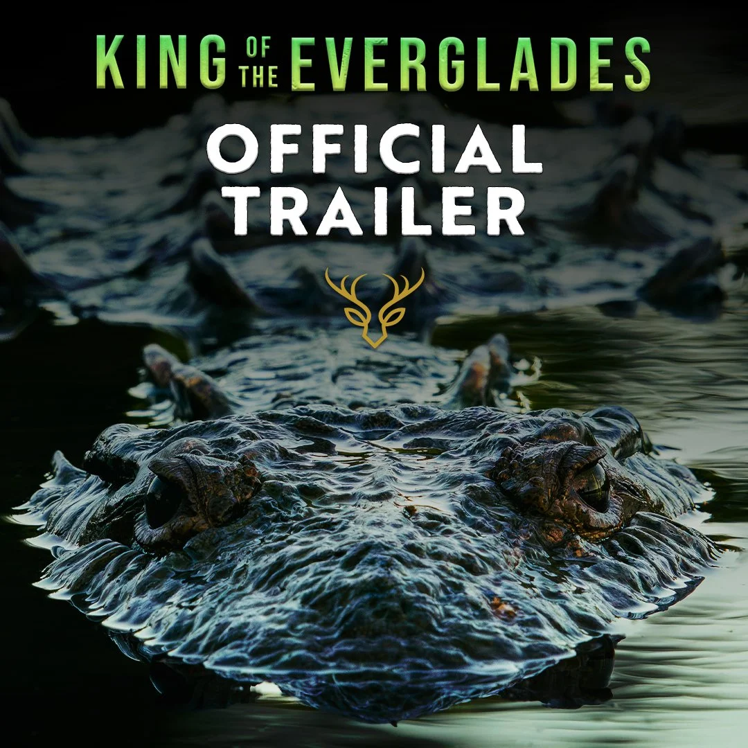 The Hunt Begins: Our First Official Trailer is Here!