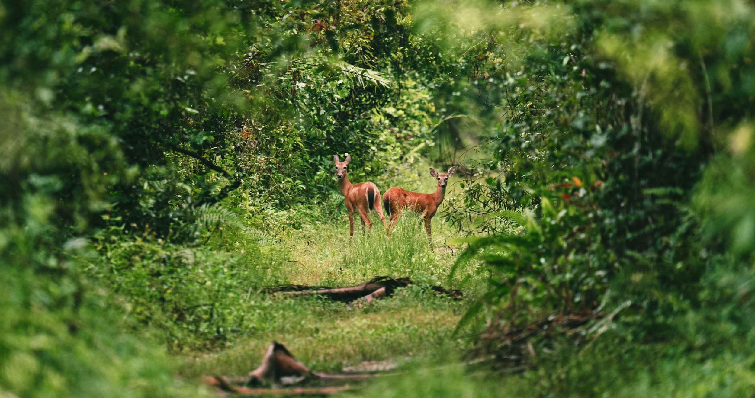 Still 2025-10-25 001856_1.9.2.jpg