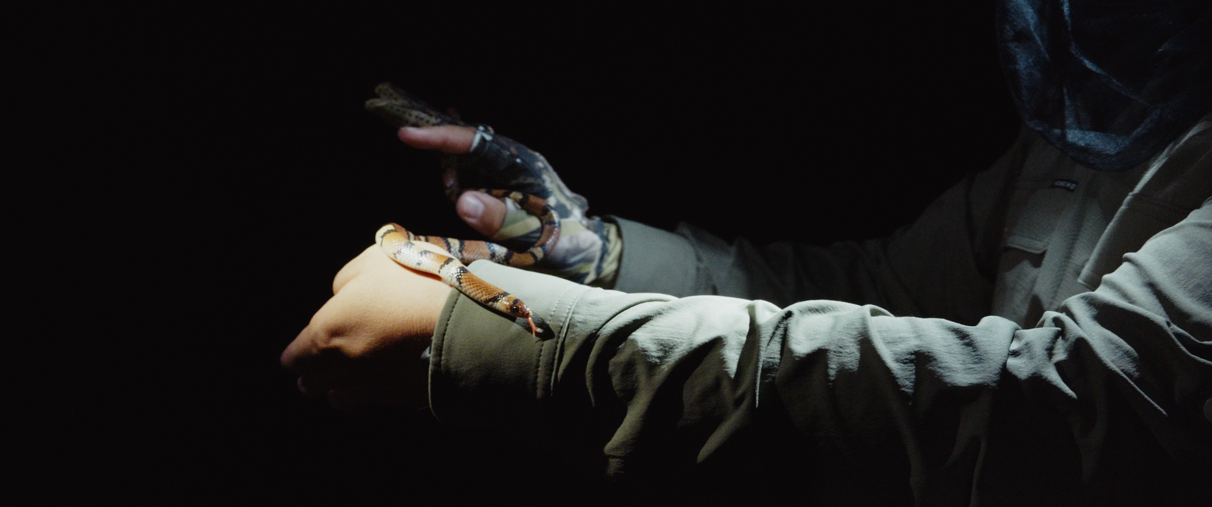 Trailer #1.00_02_15_21.Still138.png