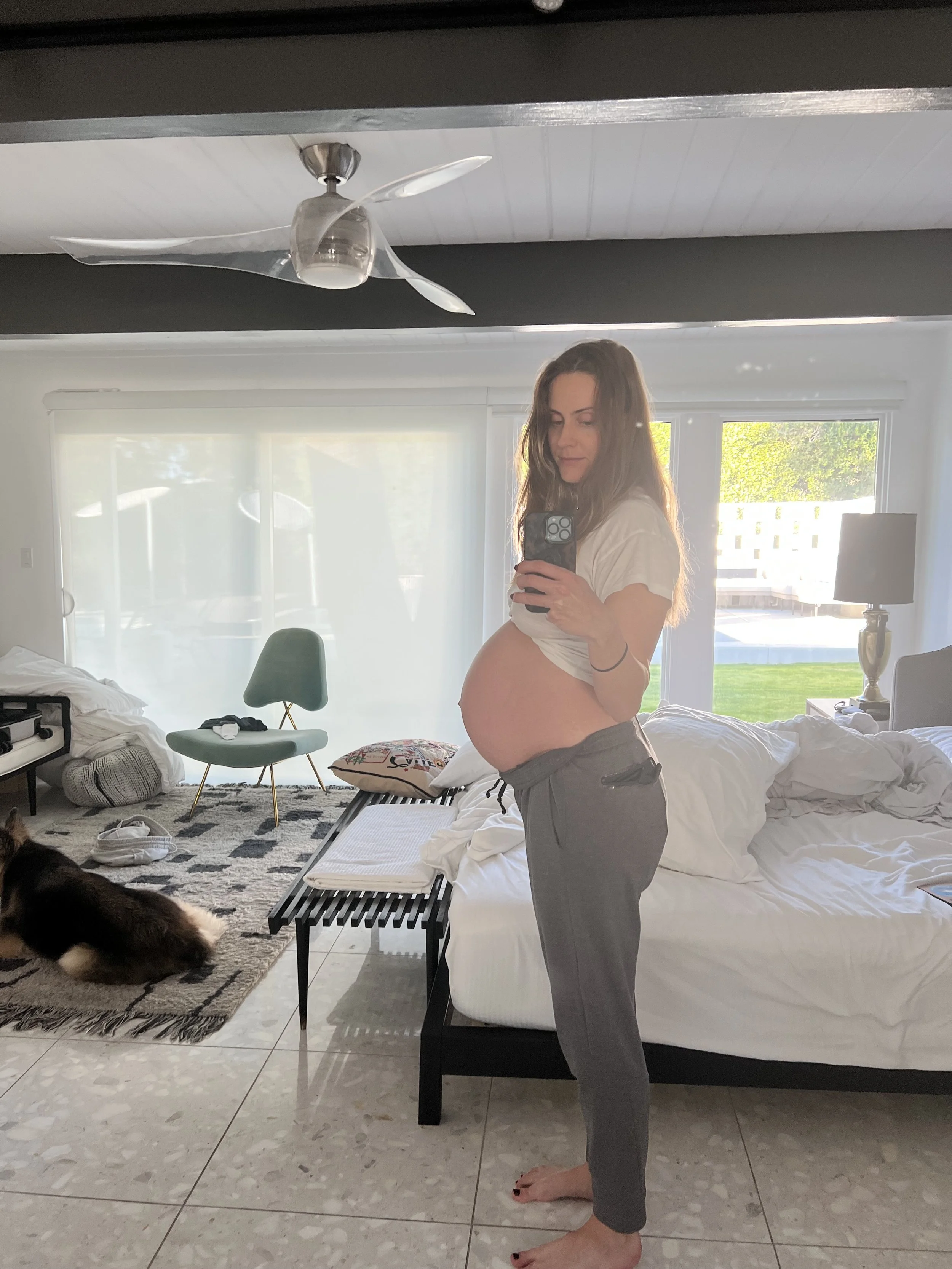Pregnant woman taking mirror selfie in a bedroom, sitting on a bed, with a dog lying on a rug nearby, during daytime.