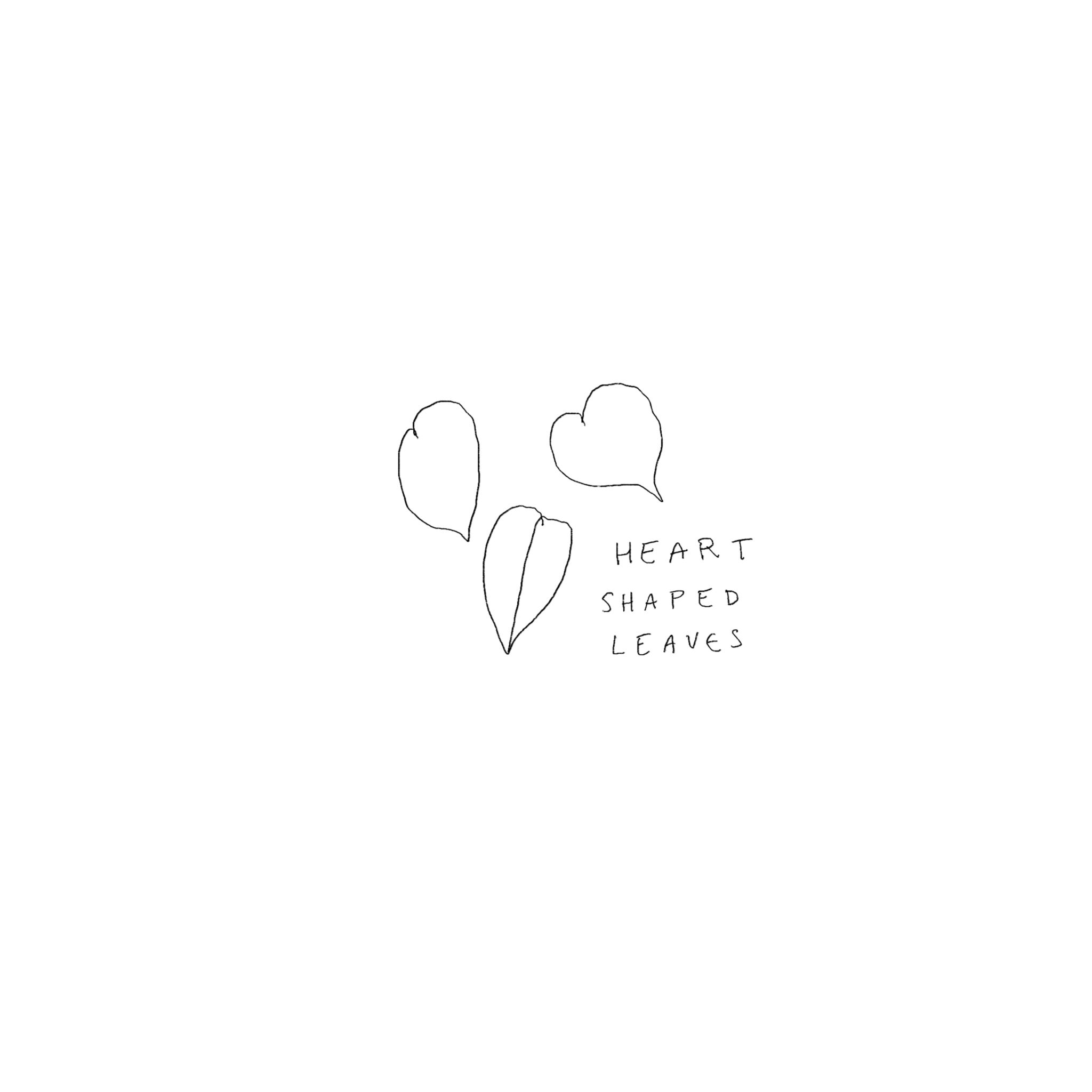 64C75A2A-741C-4ABB-AC26-E919EF7EDC37.png