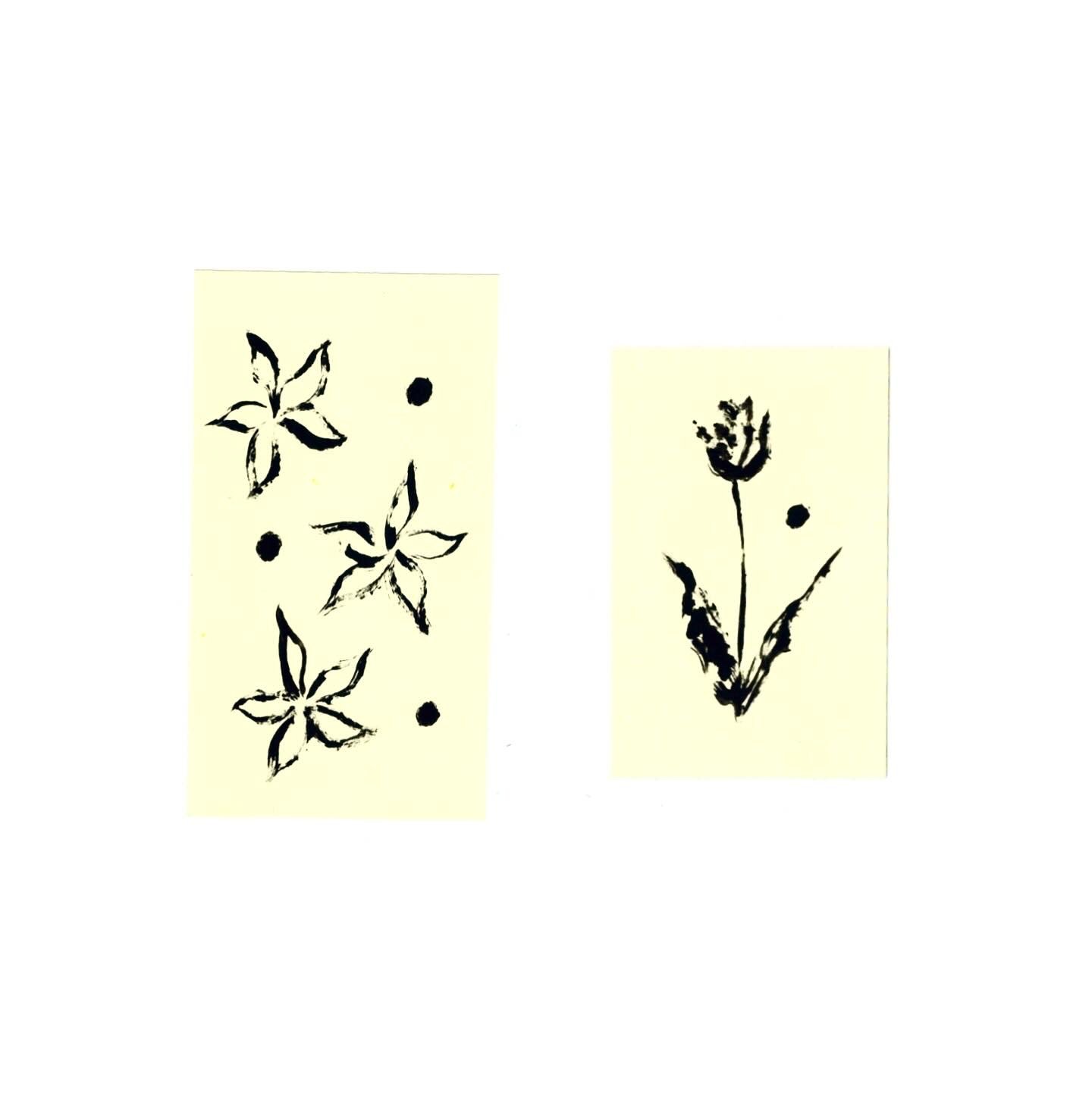 image5.jpeg