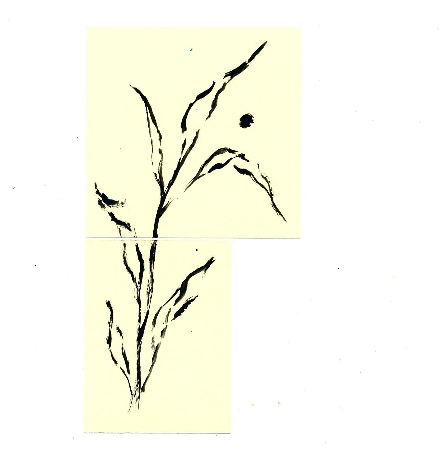 image3.jpeg