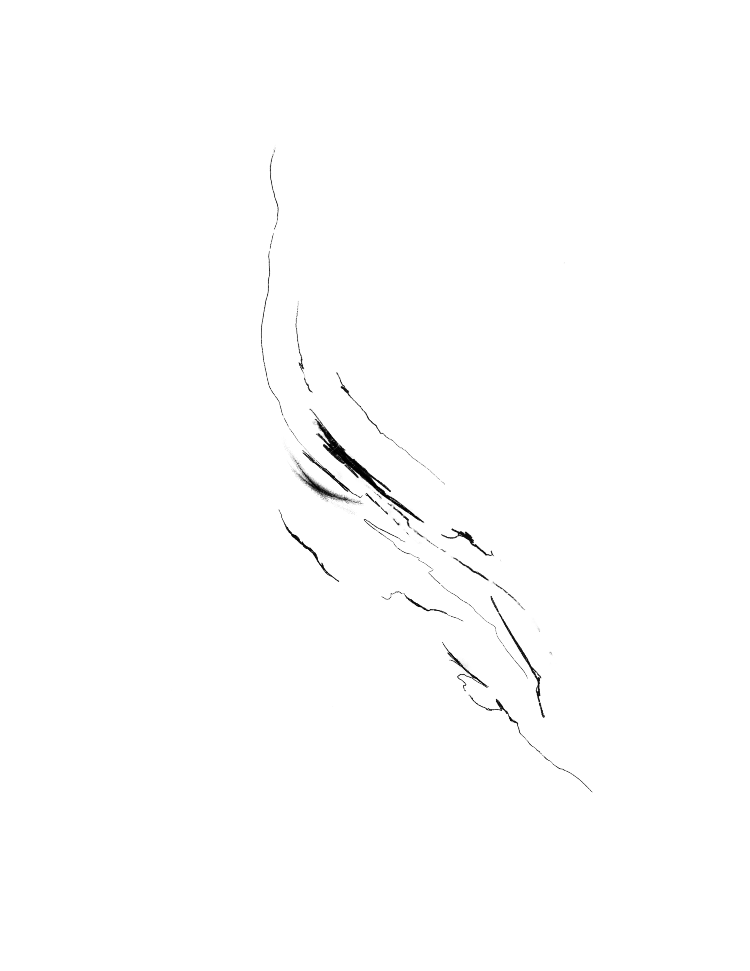 D42B061E-2F2A-4735-89DB-1FF2BA50F95A.png