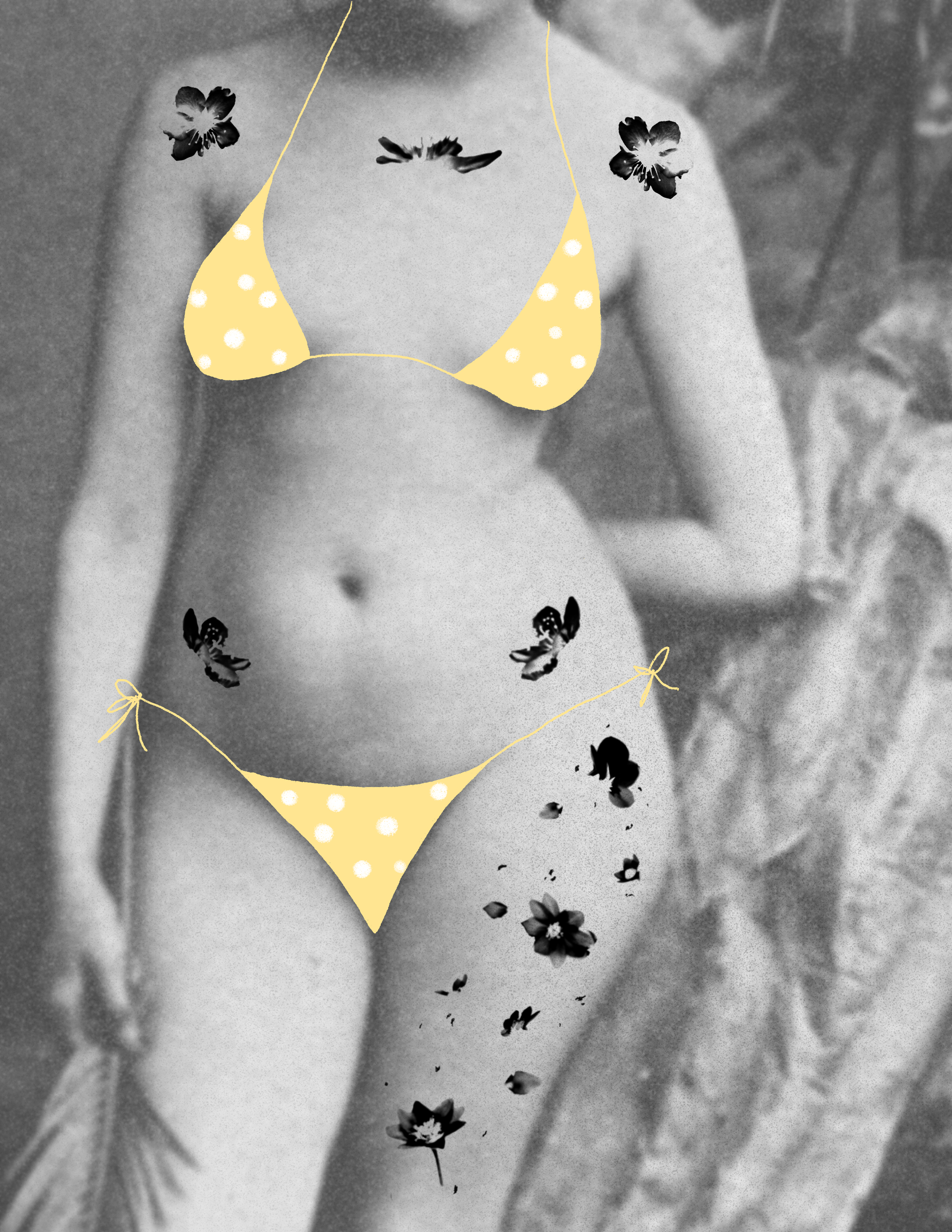 2738941F-C4DA-4471-ACE4-795E83A0BC5C.png