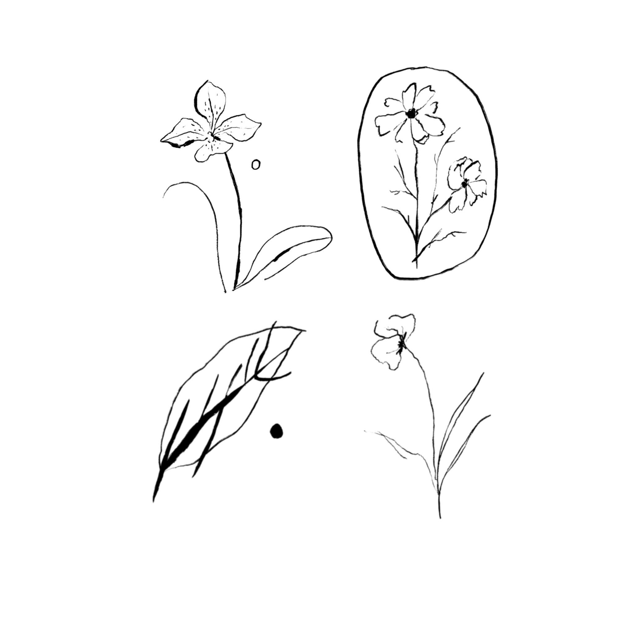 7B0B9044-9DBF-4ABF-B8AE-CBDA10012174.png