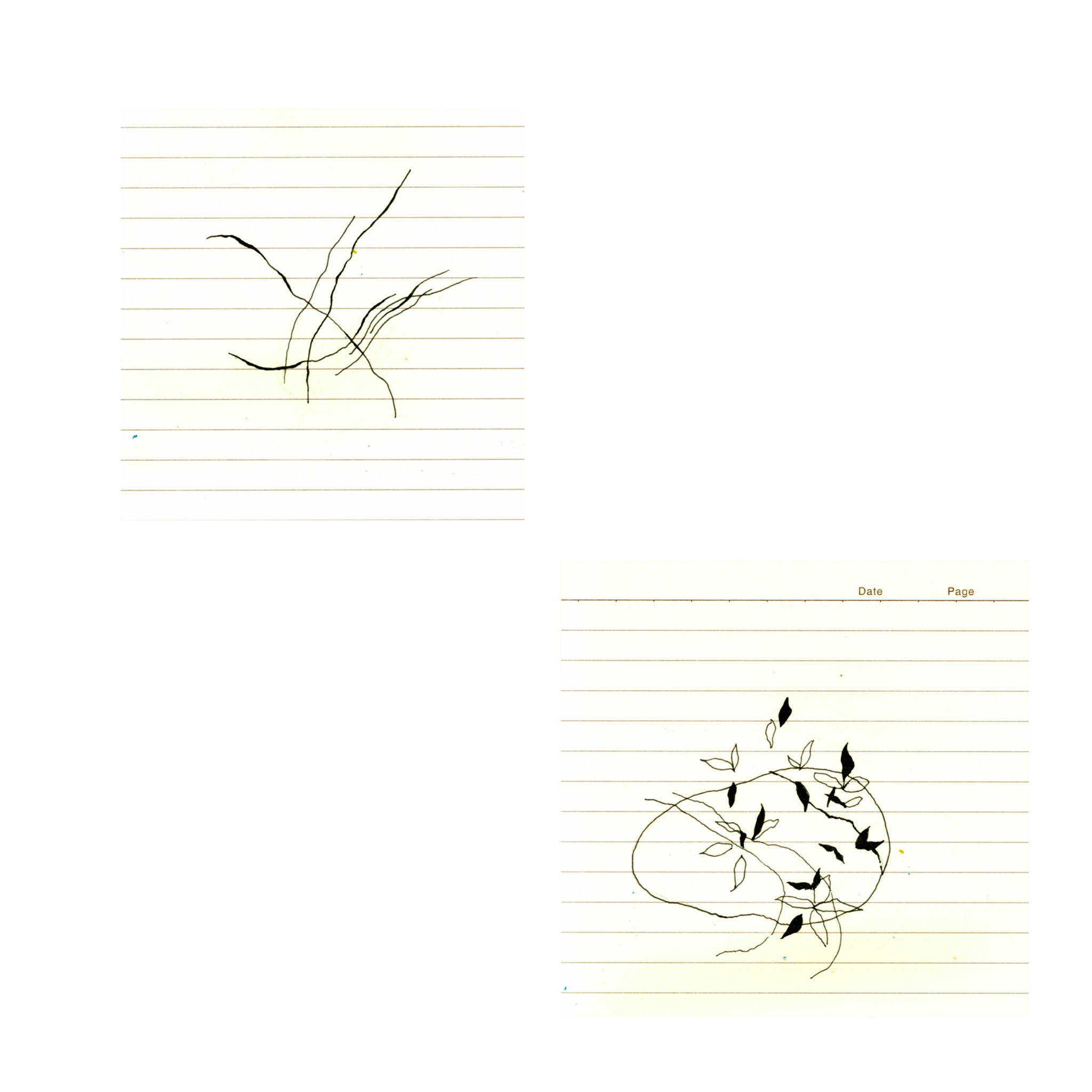 9E465B6F-A457-468D-B873-4B0320B1BC75.png