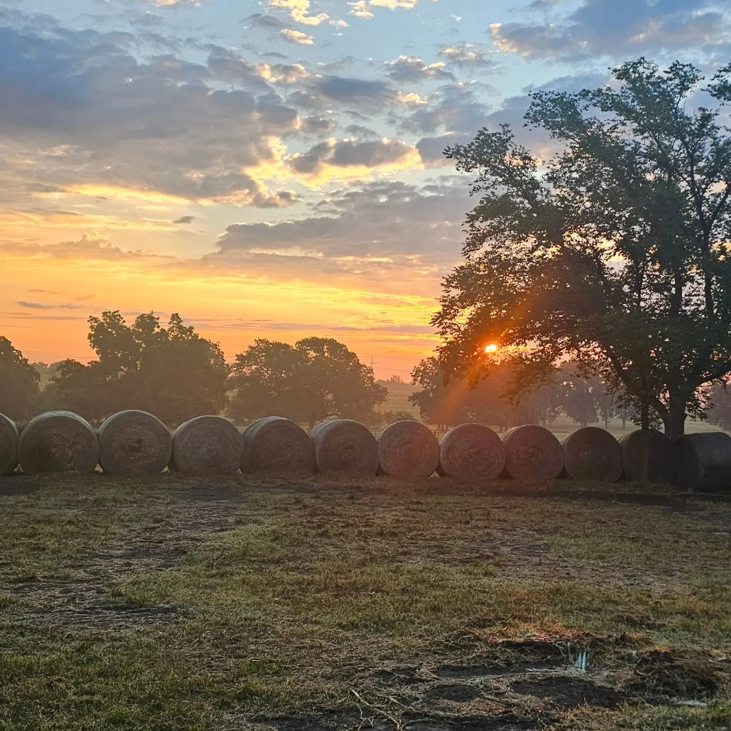 I've loved watching the world wake up in Oklahoma this week, reminding me how beautiful life really is when you get to do the work you love with people you love even more. Plus the pups are loving it here too - nothing like wide open spaces to make e