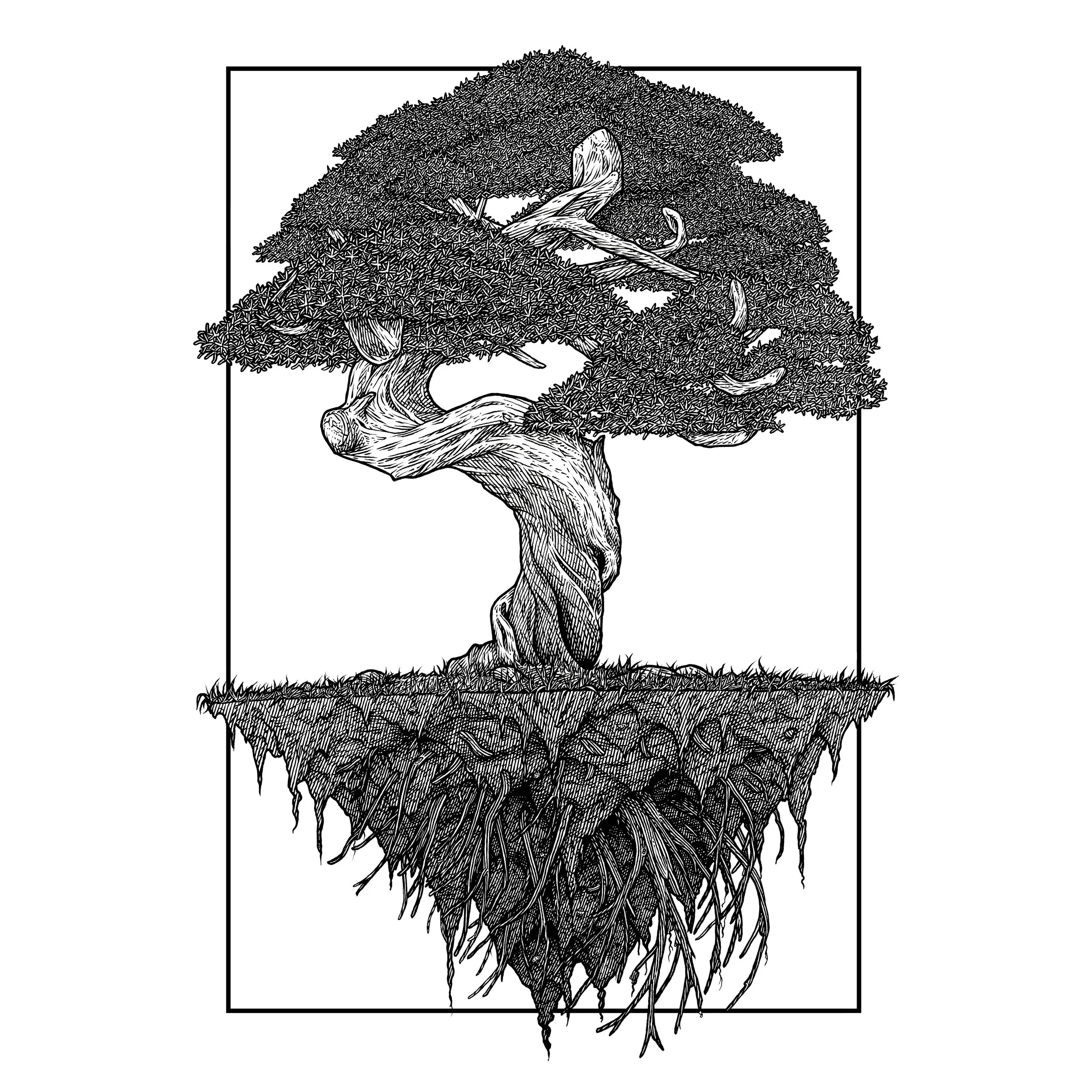 Floating bonsai