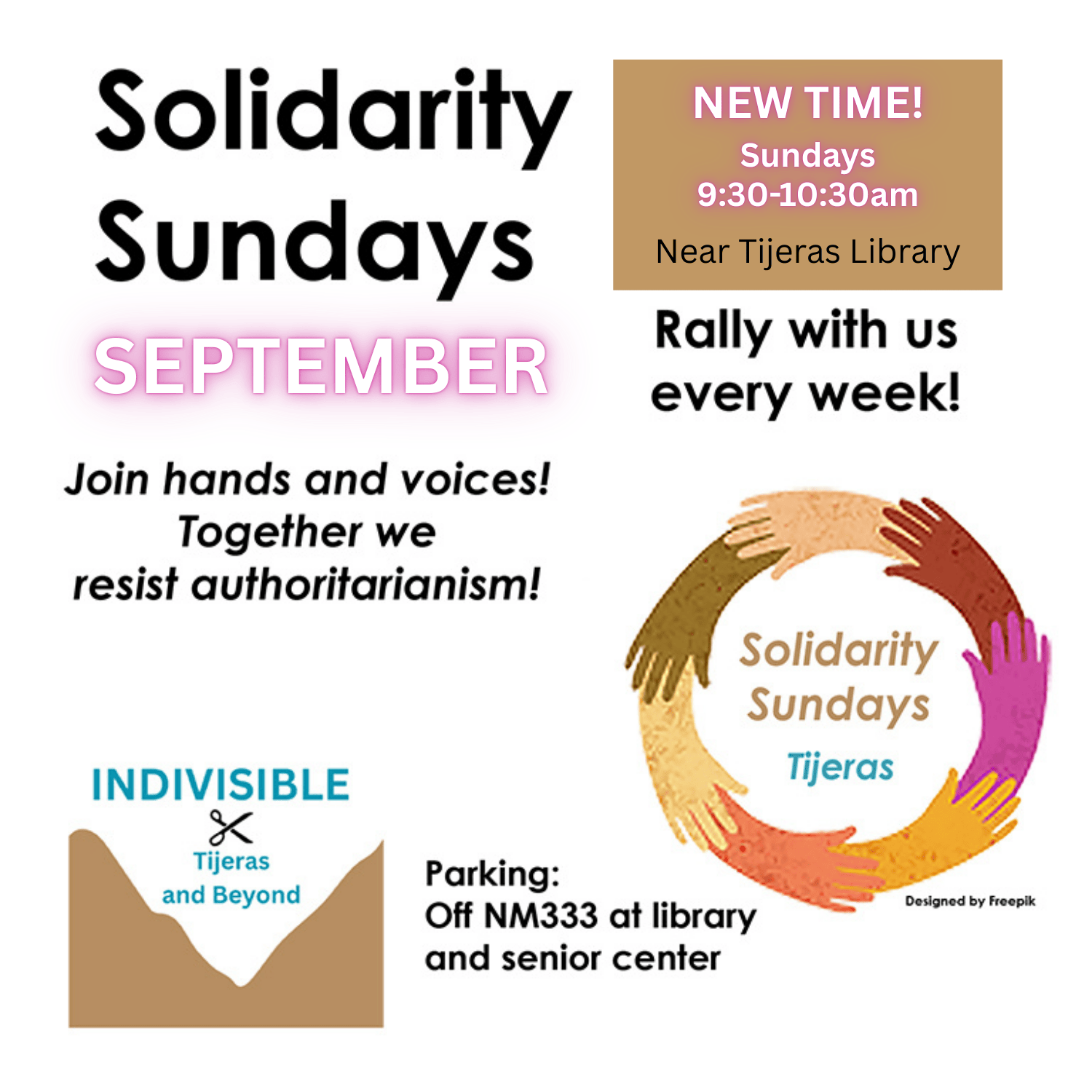 Solidarity Sundays - Indivisible