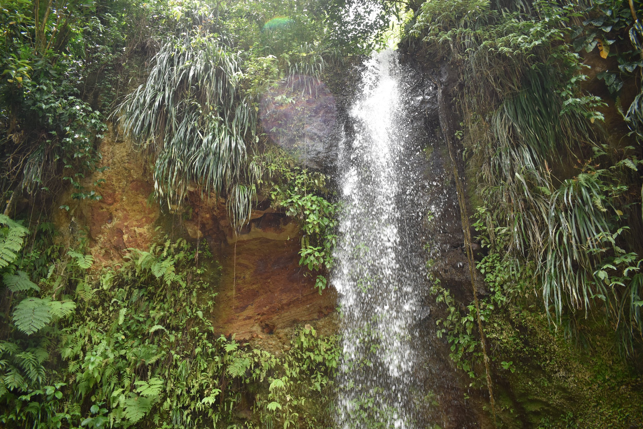 DSC_0549.JPG