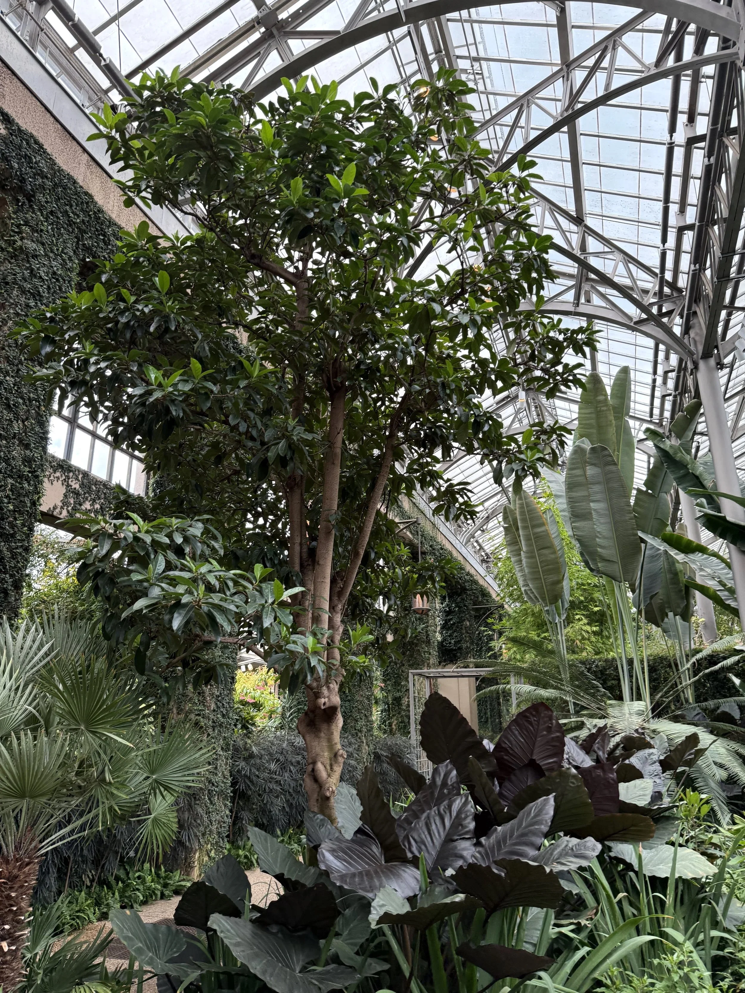 IMG_7277.jpg
