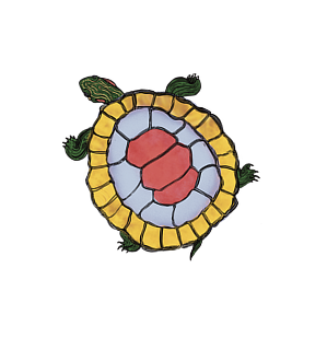 Illustration of a turtle's shell with a heart shape in the center and green fronds at the top.