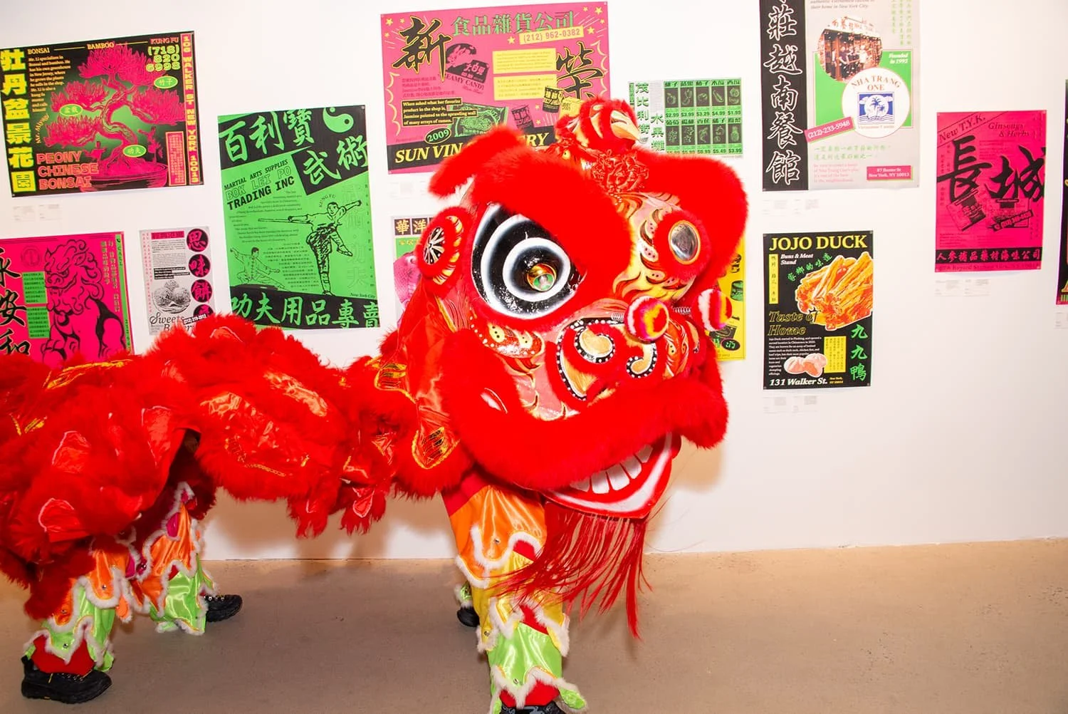 A traditional Chinese lion dance costume with a red and white lion head, featuring large eyes, colorful decorations and fur, is displayed in front of a wall decorated with colorful posters with Chinese and English text, and images.