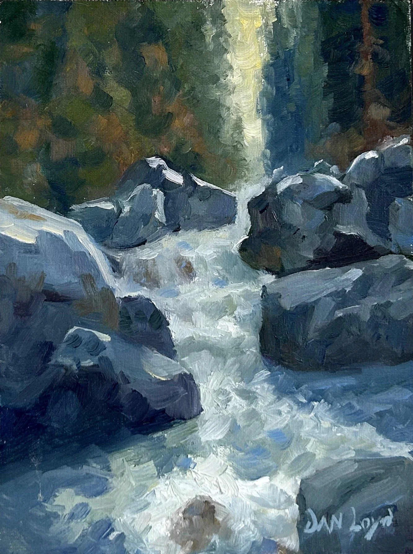 Stream in Yosemite